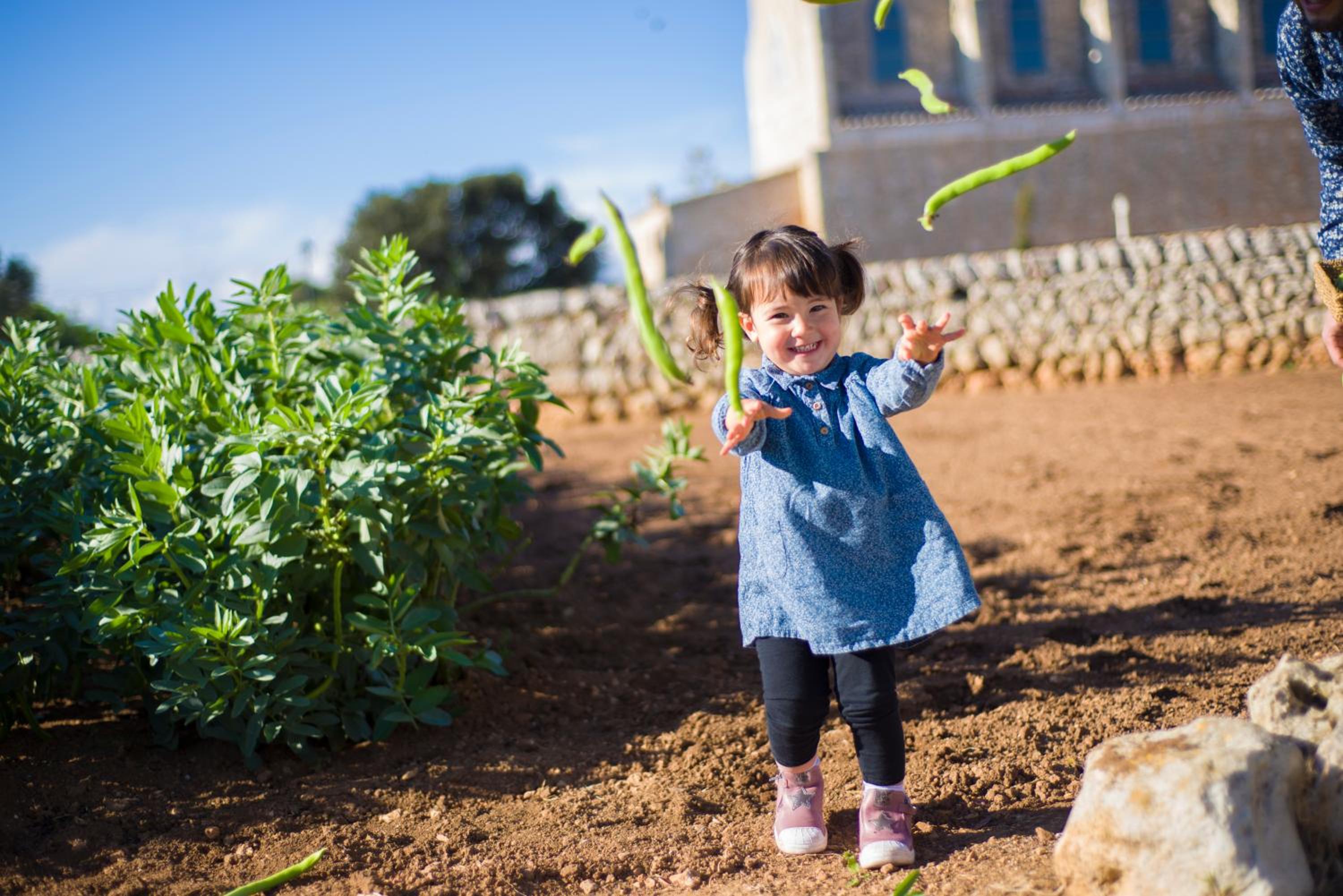 Llucmaçanes Gran Agroturismo