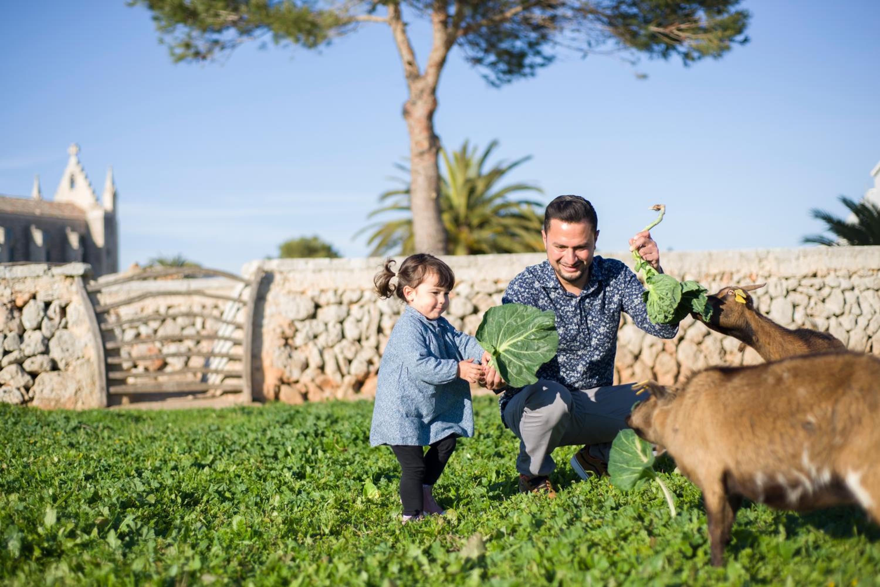 Llucmaçanes Gran Agroturismo