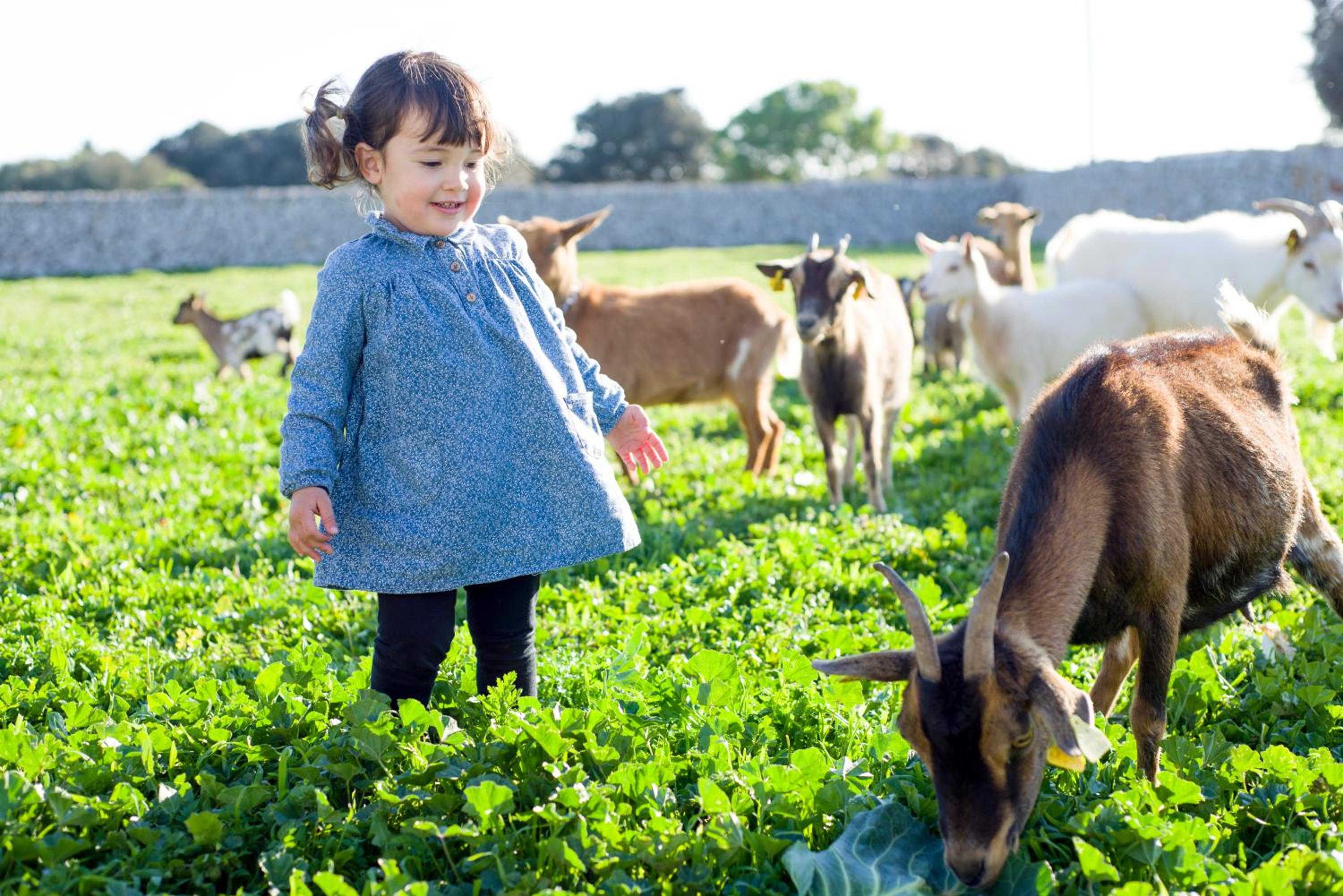 Llucmaçanes Gran Agroturismo