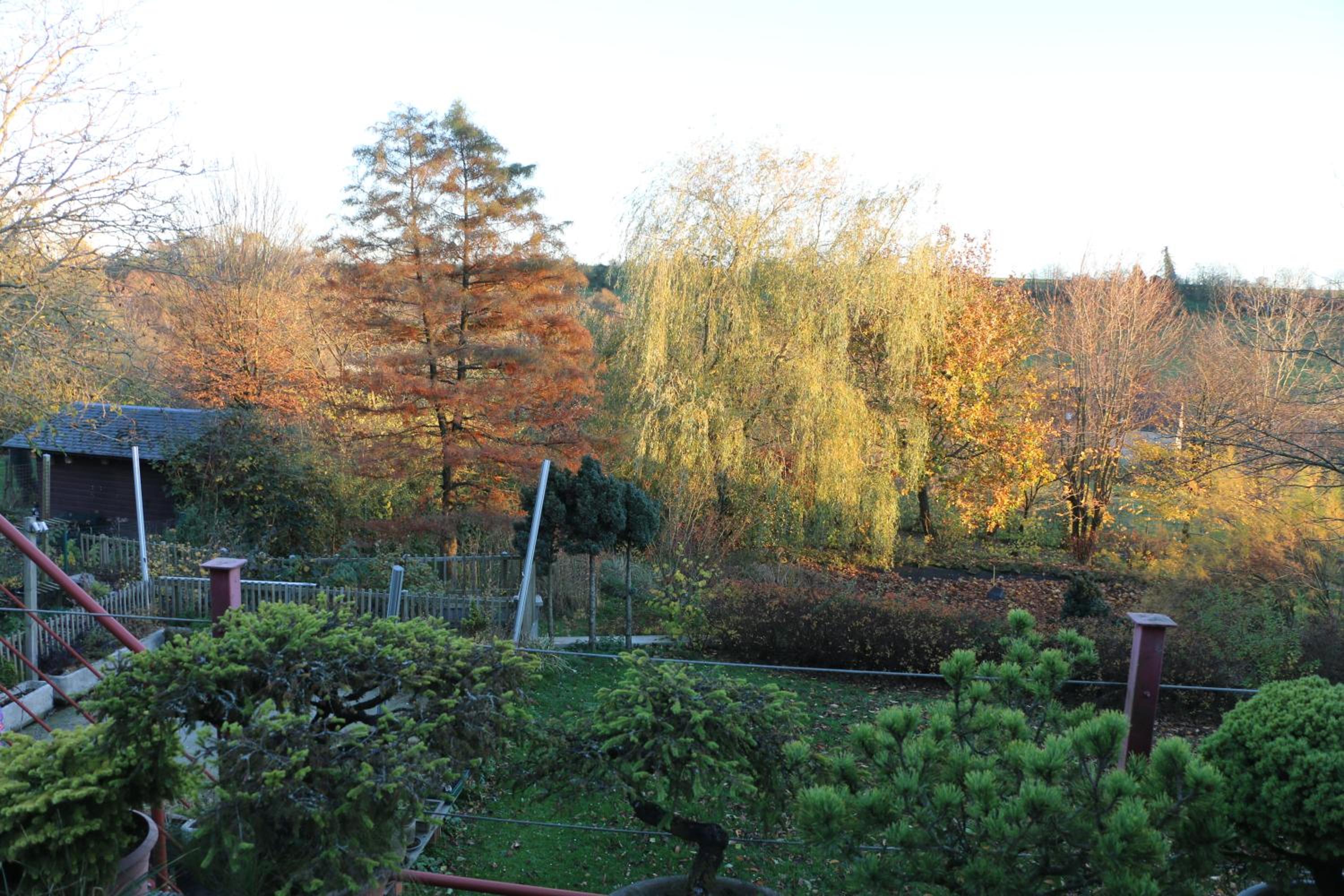 Gesves Côté Jardin