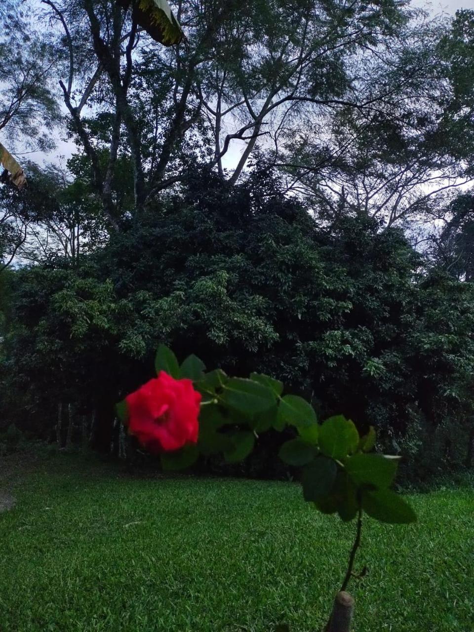 Photo 76