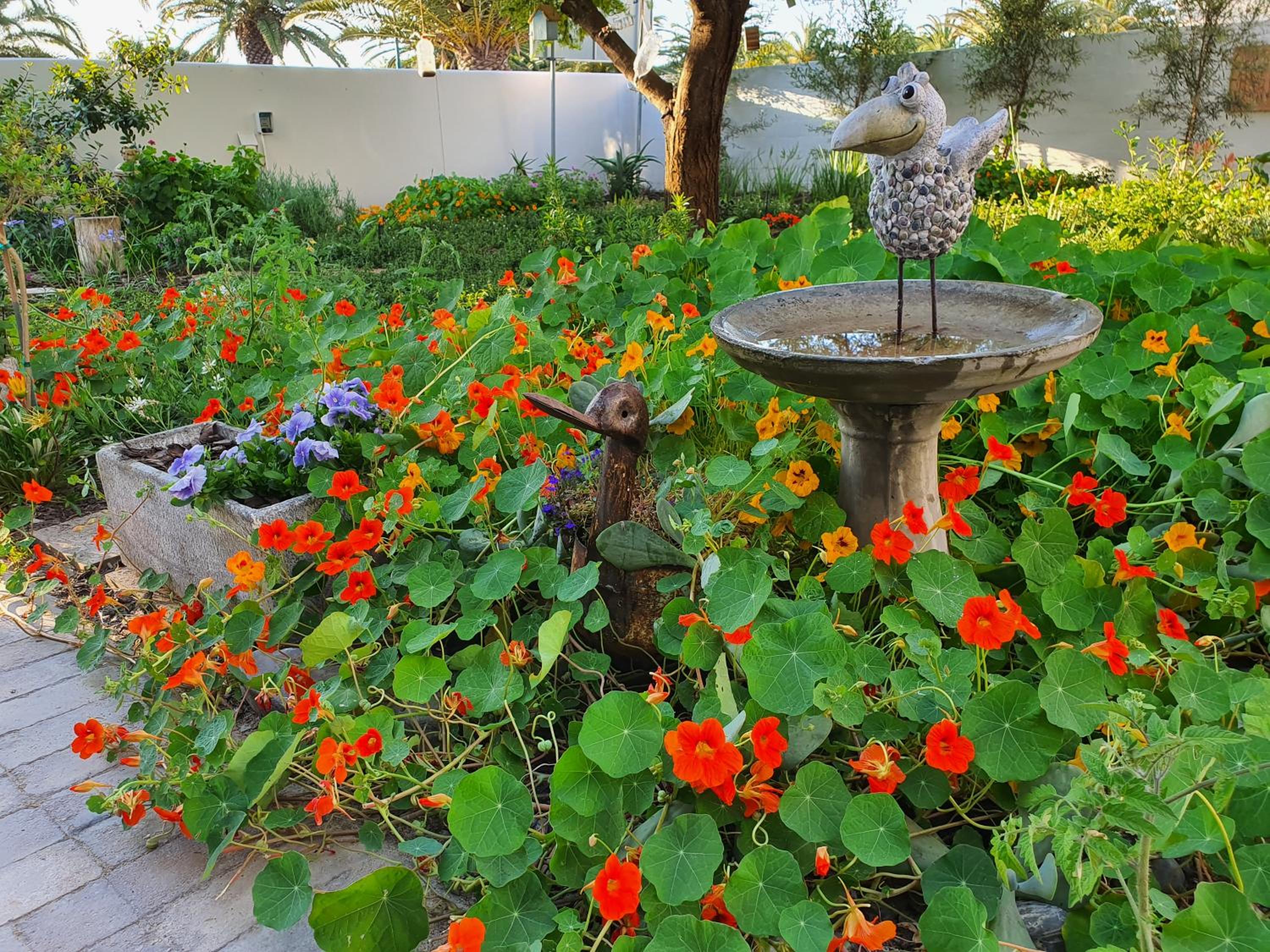 Albatross Guesthouse