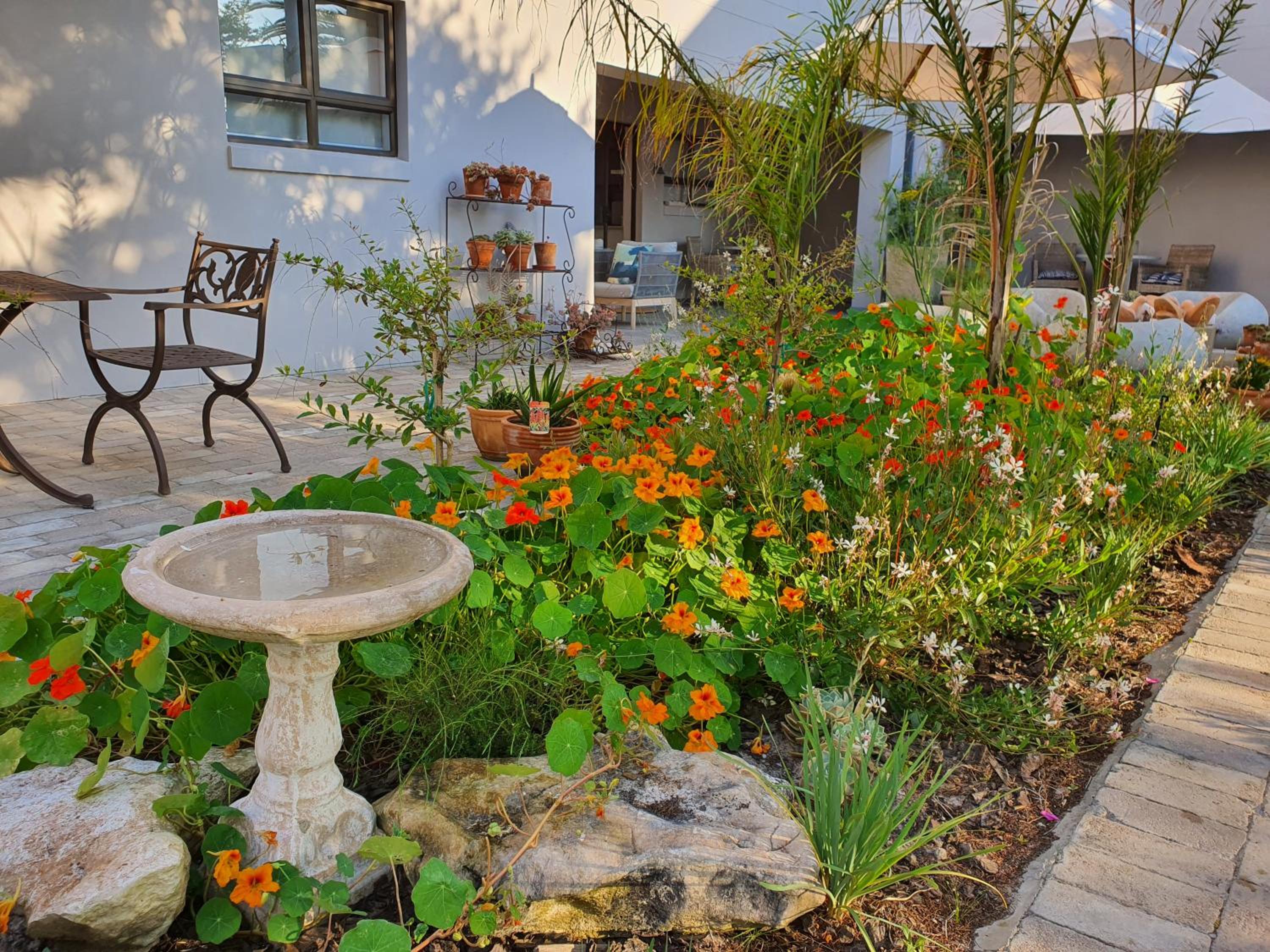 Albatross Guesthouse