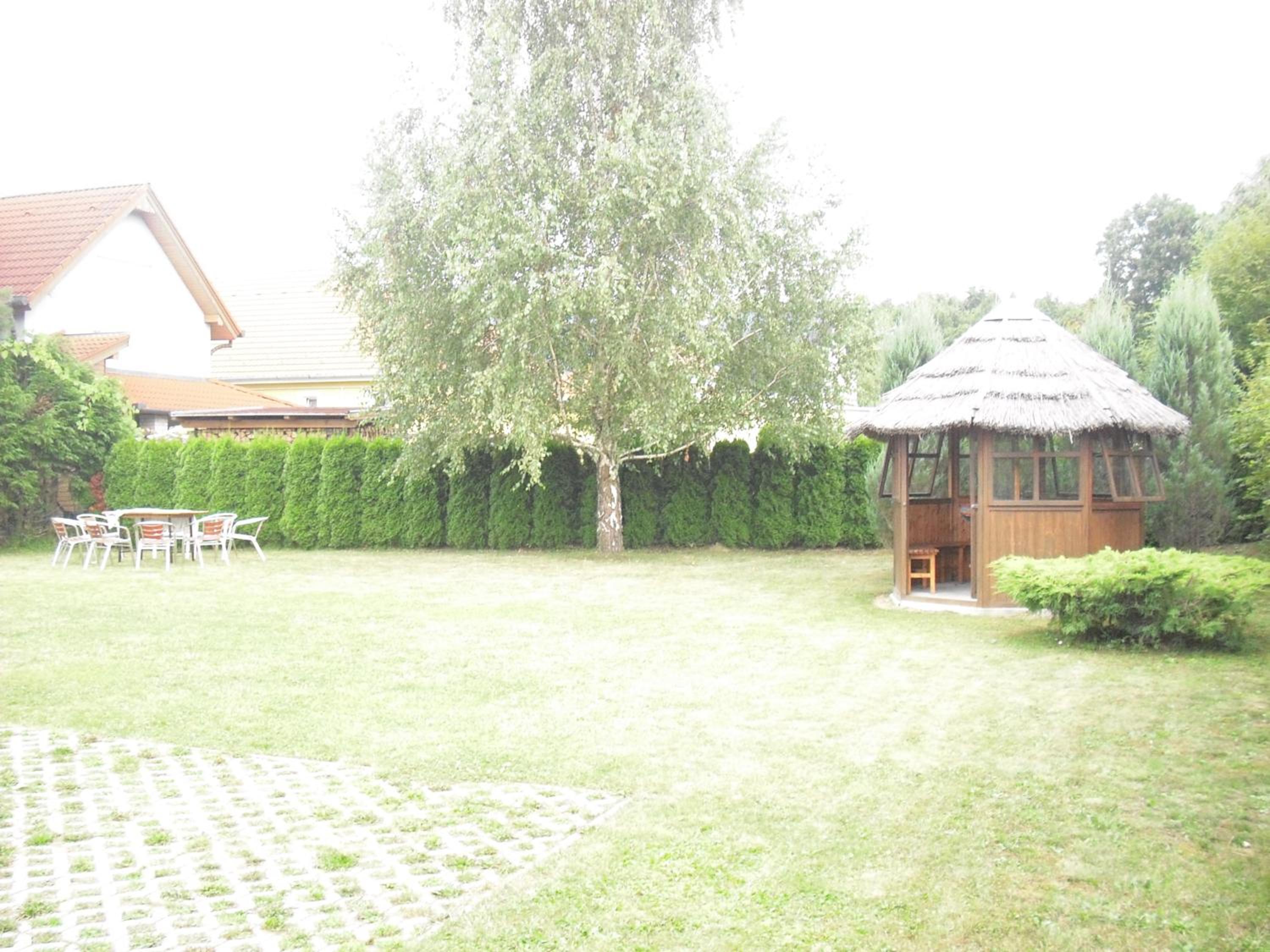 Photo 50