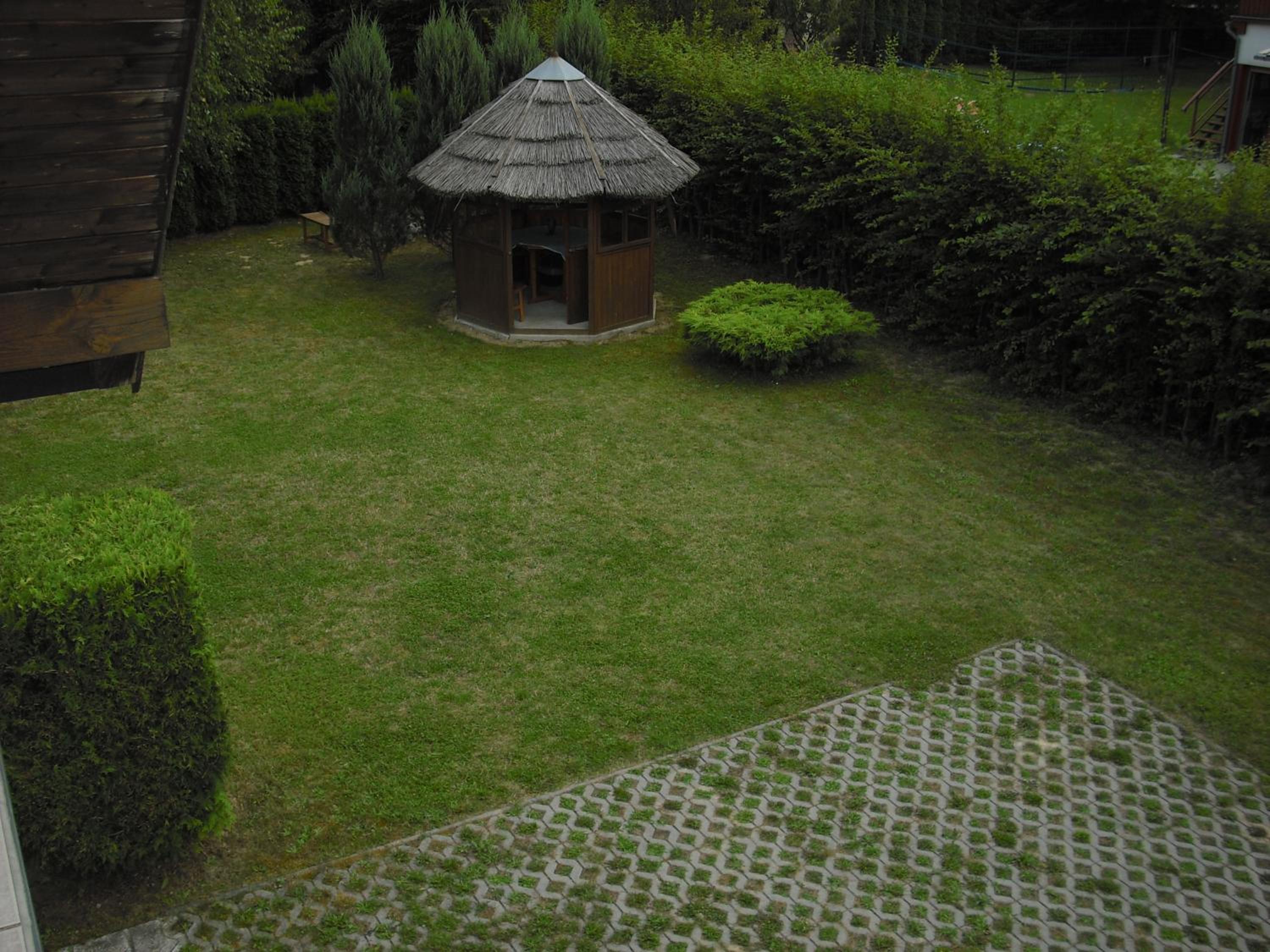 Photo 51