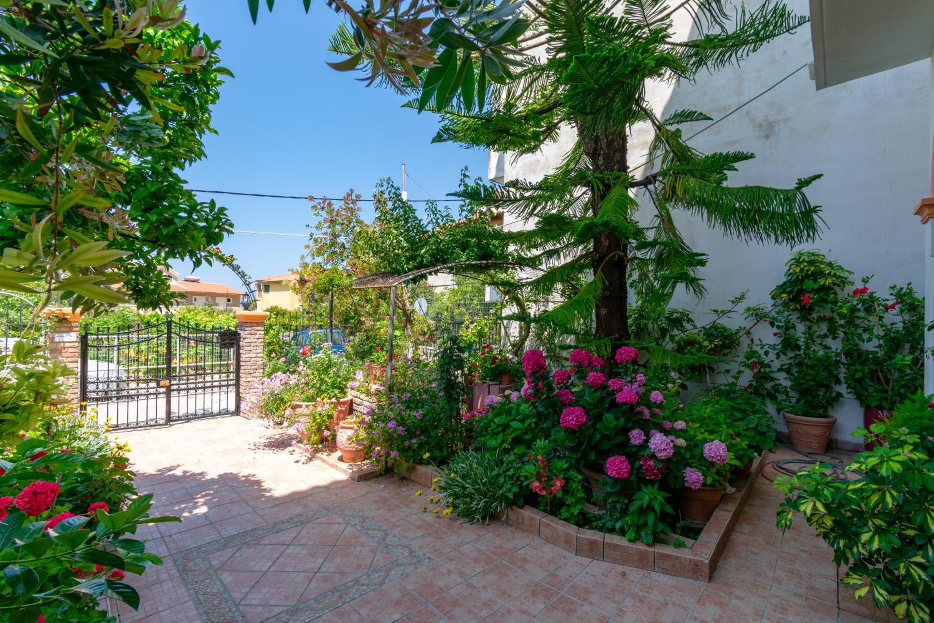Villa Sophia Apartments by CorfuEscapes view 5