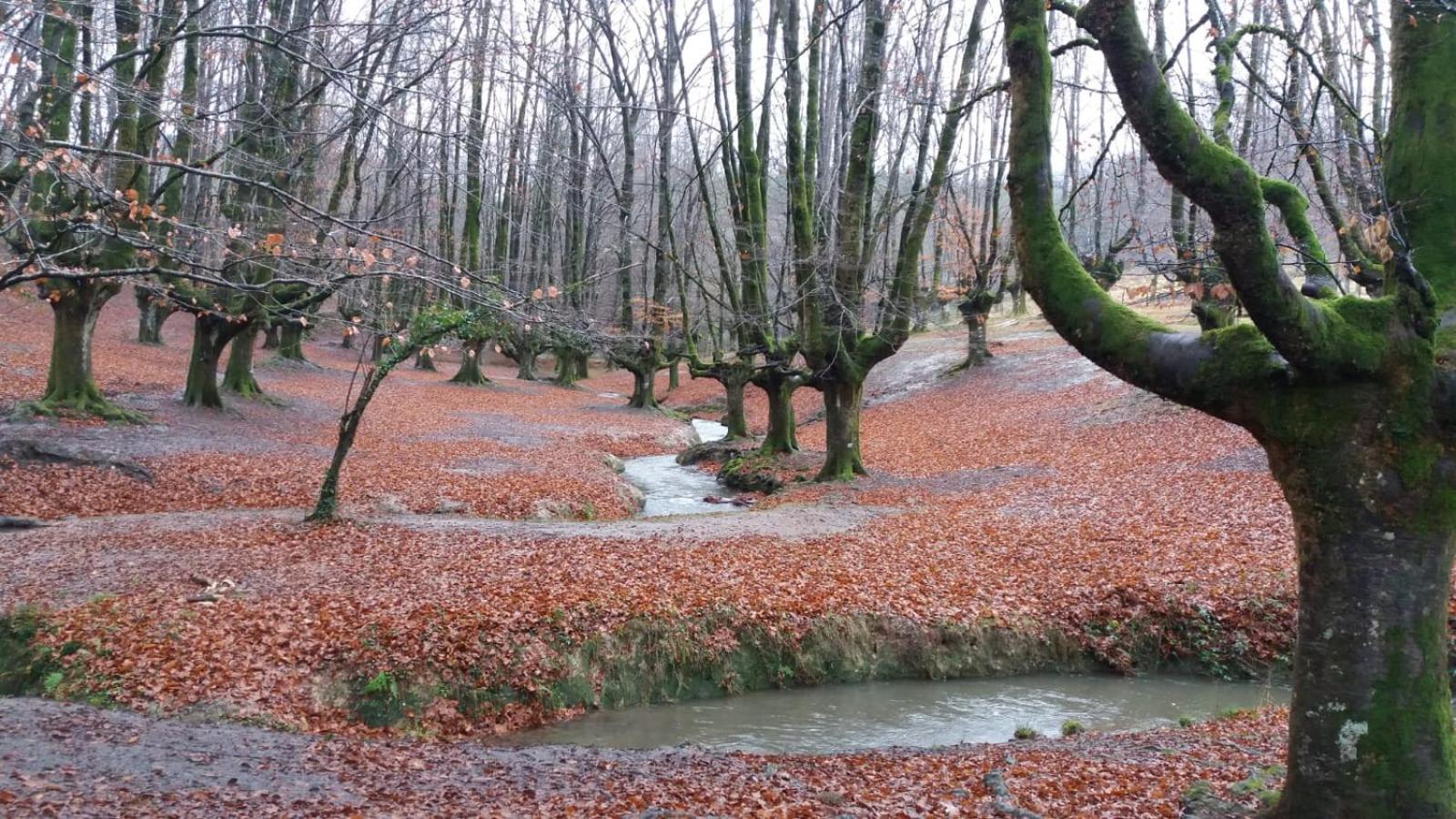 Errekaondo view 3