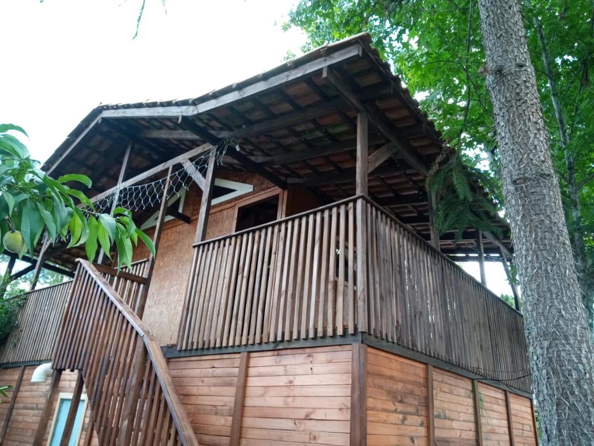Mini House Park