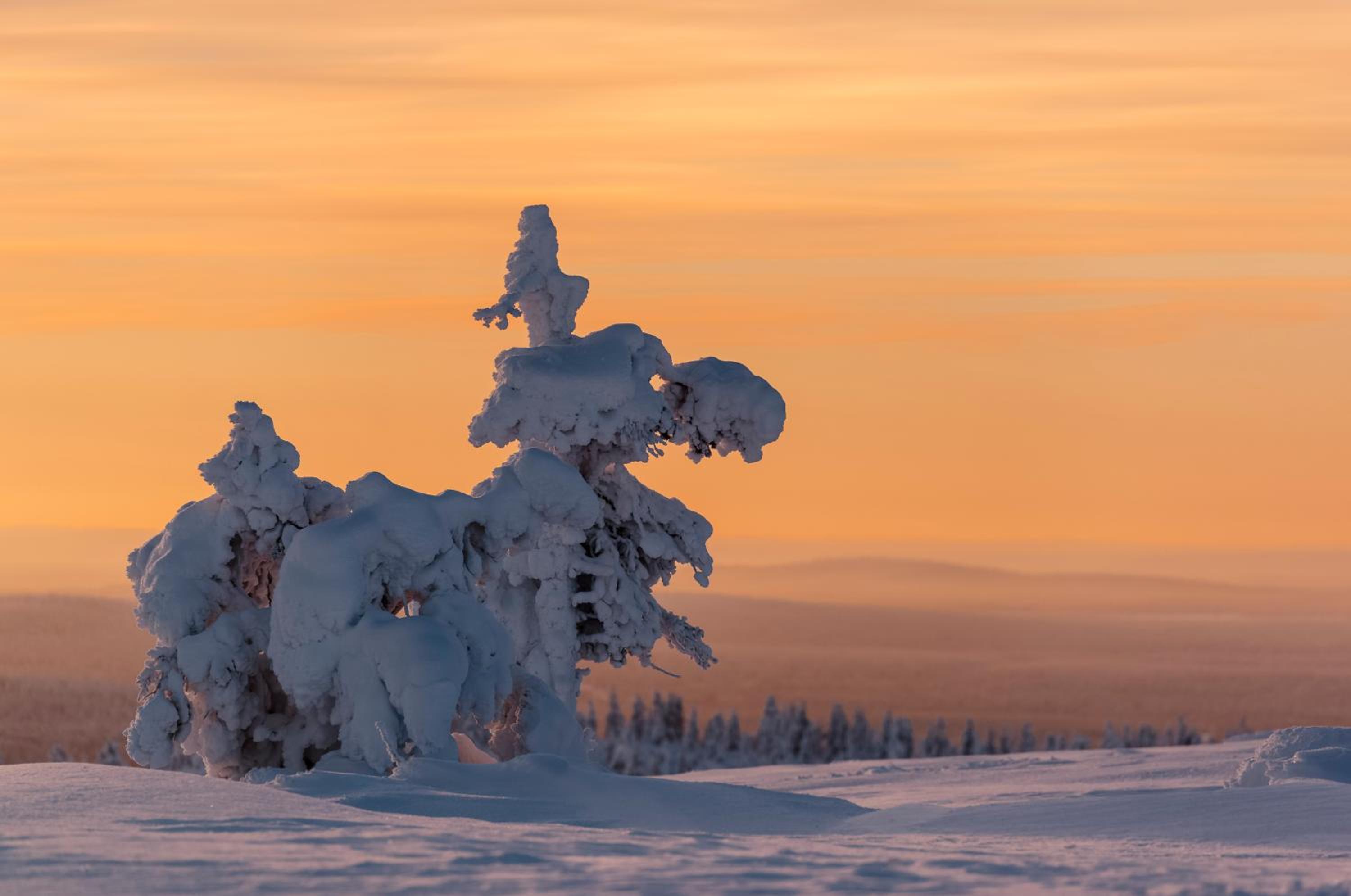 Talo Ylläs