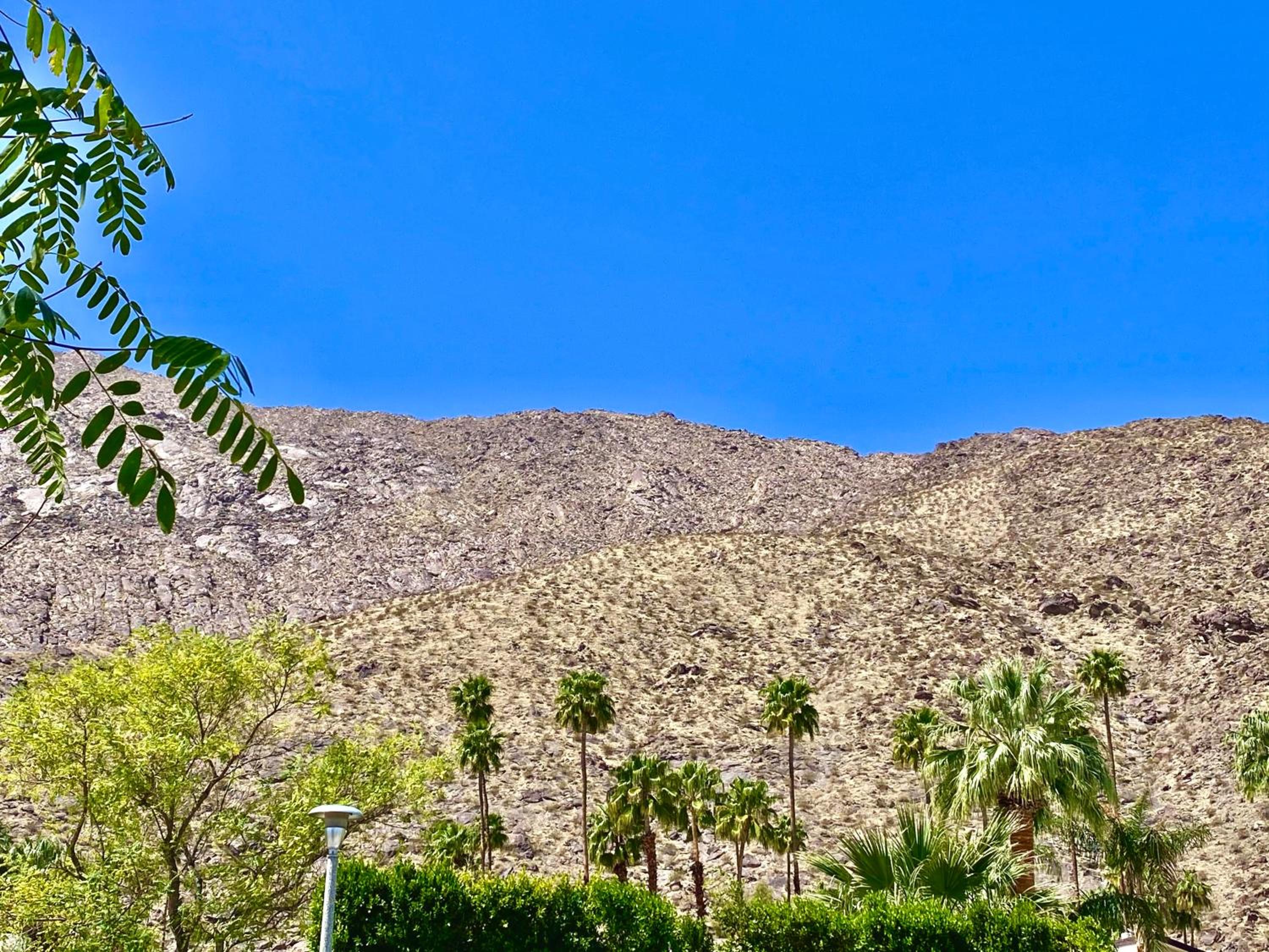 Palm Springs Vacations - Old Ranch Inn - Adults Only 21 Up - Property Image 58