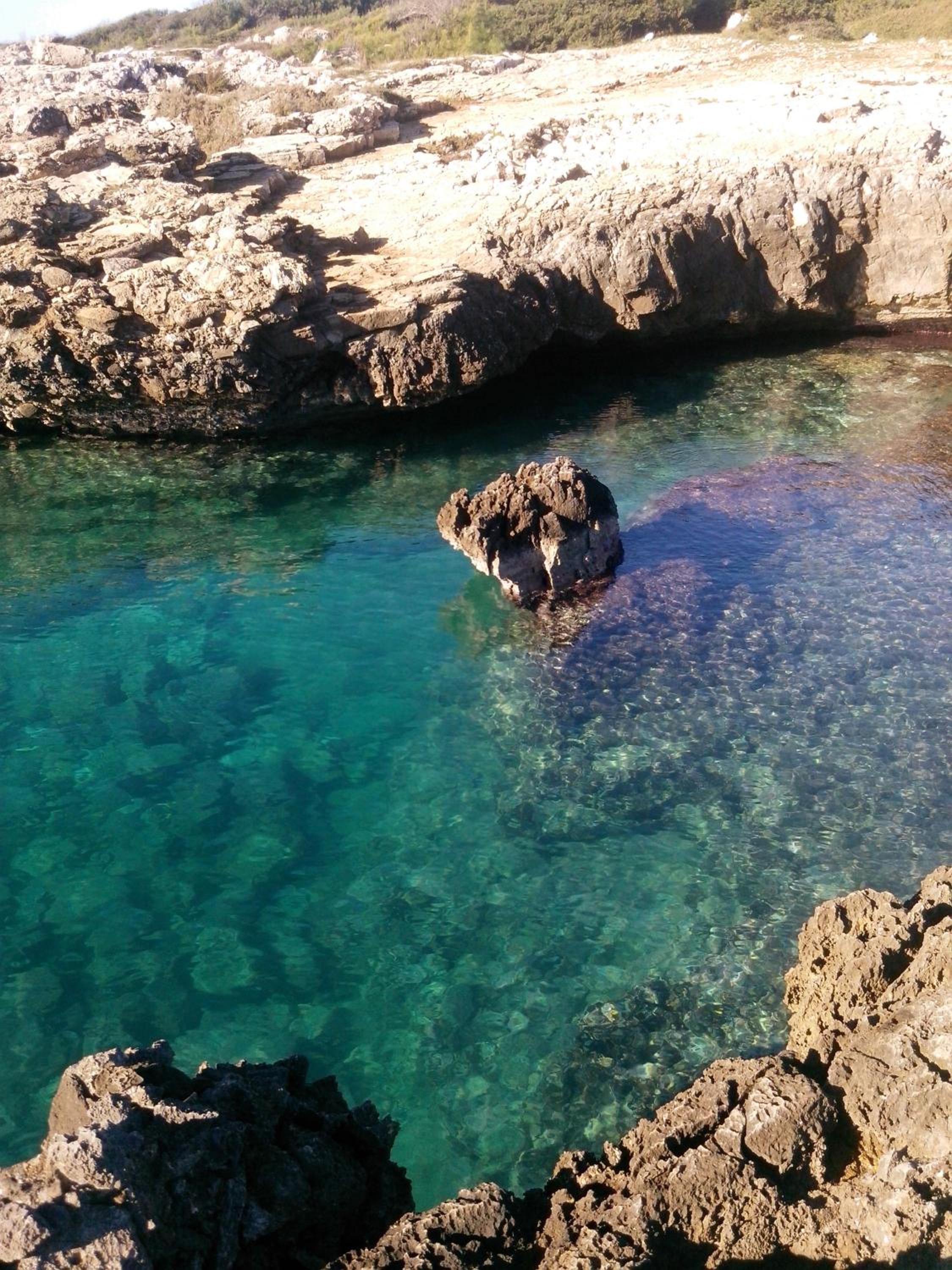 Photo 46