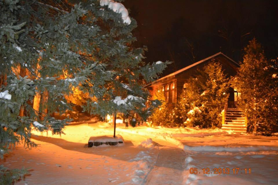 Chalet Alpine