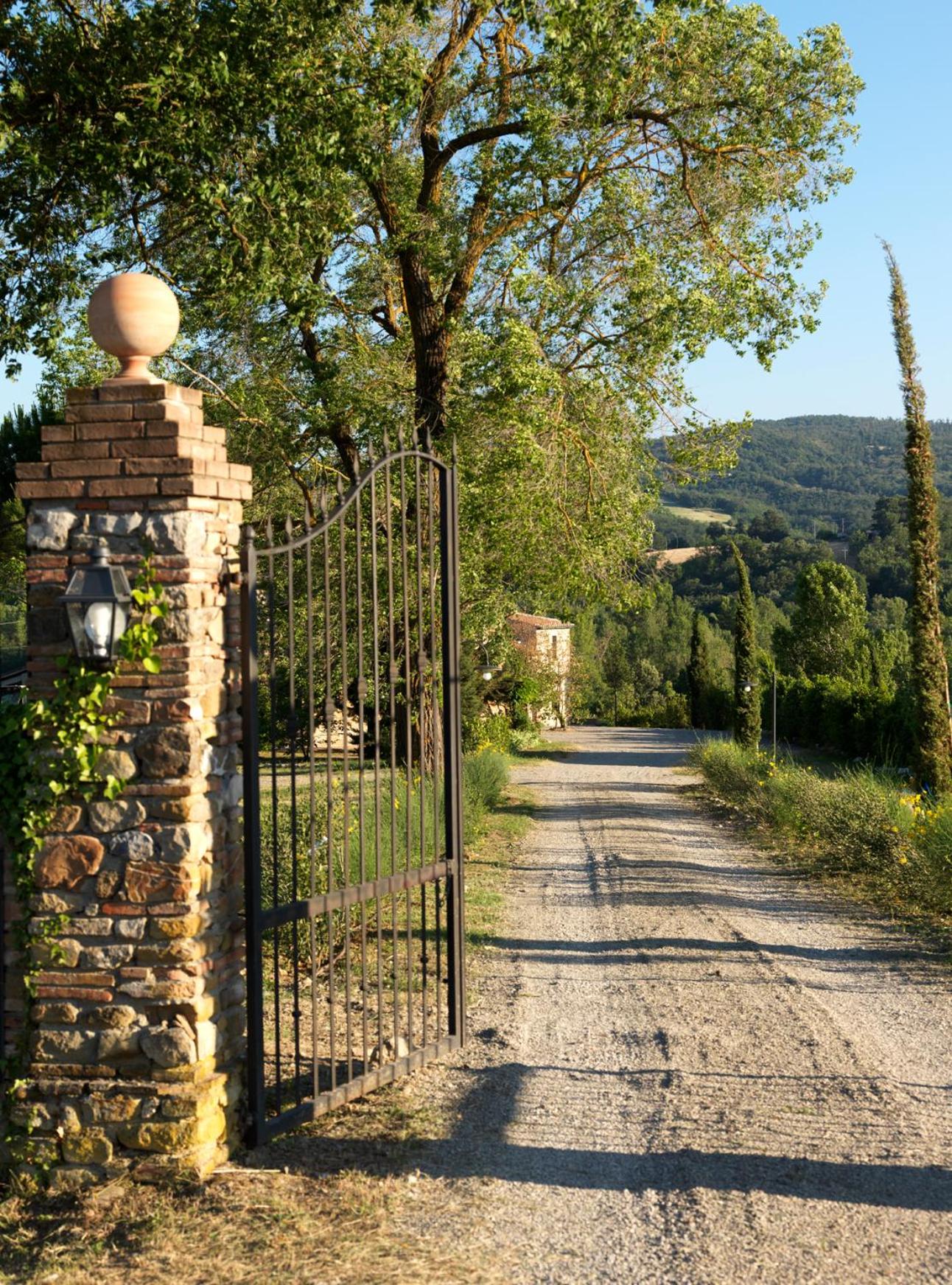 Photo 43