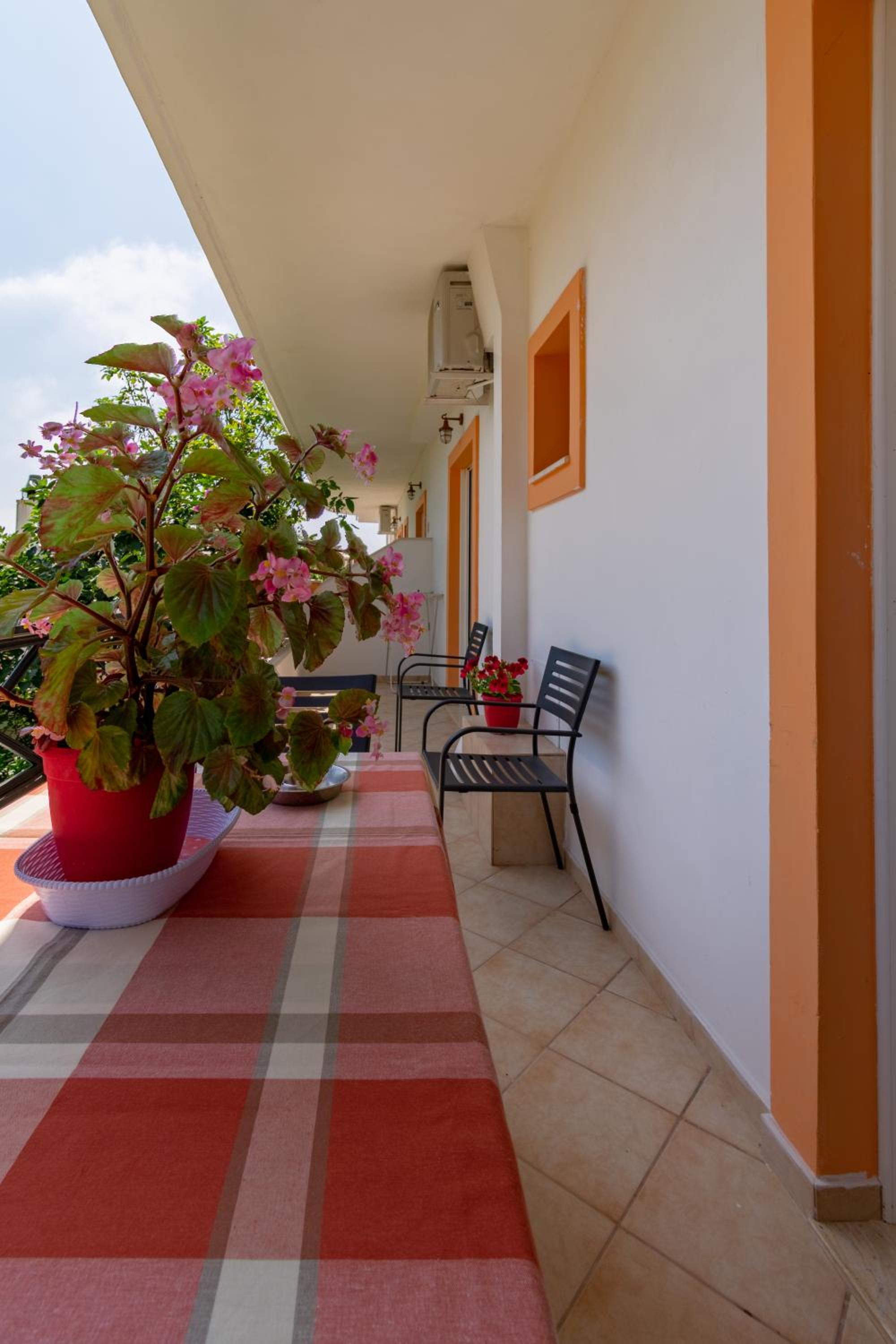 Photo 38
