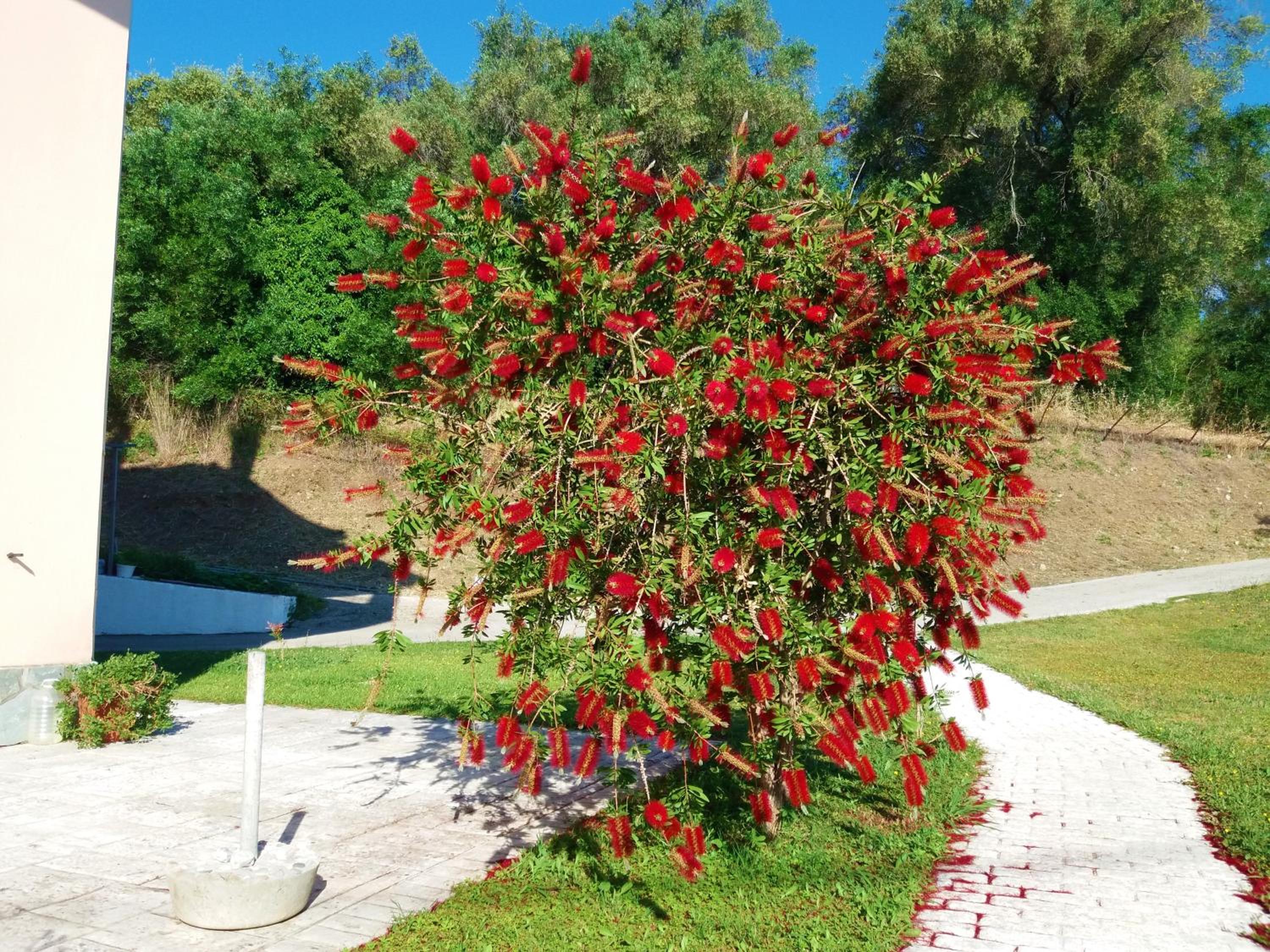 Orion filoxenia Sinarades