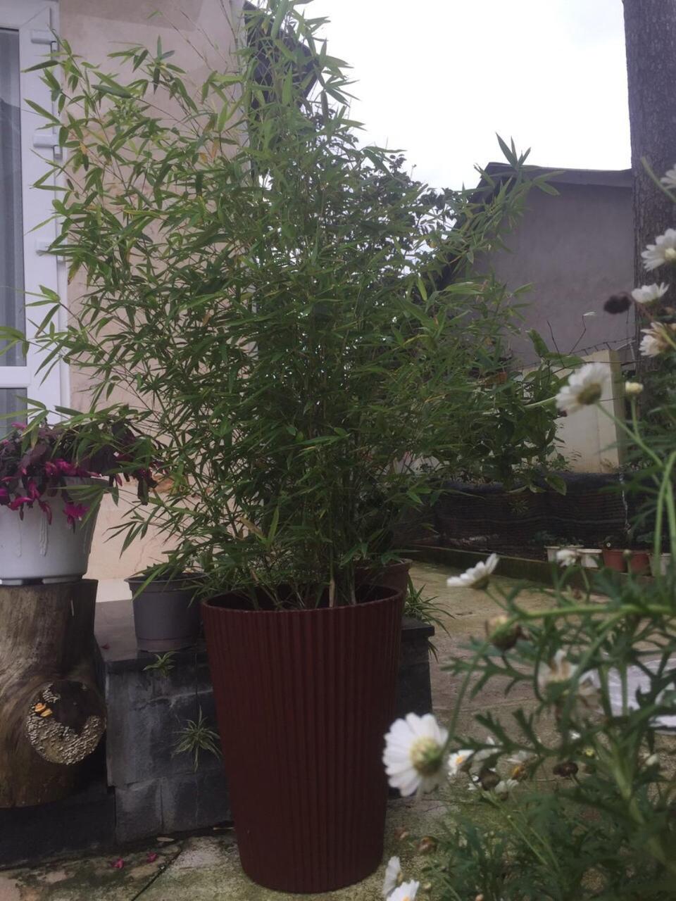 Photo 26