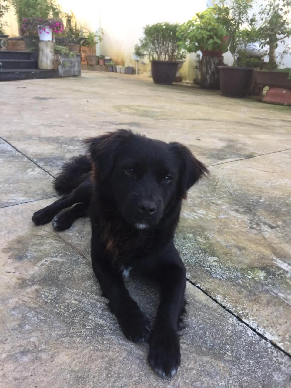Photo 27