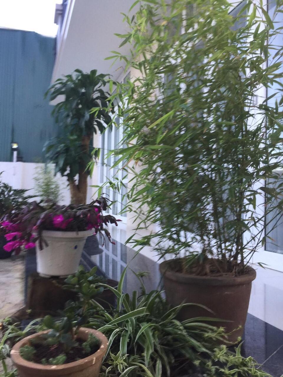 Photo 33