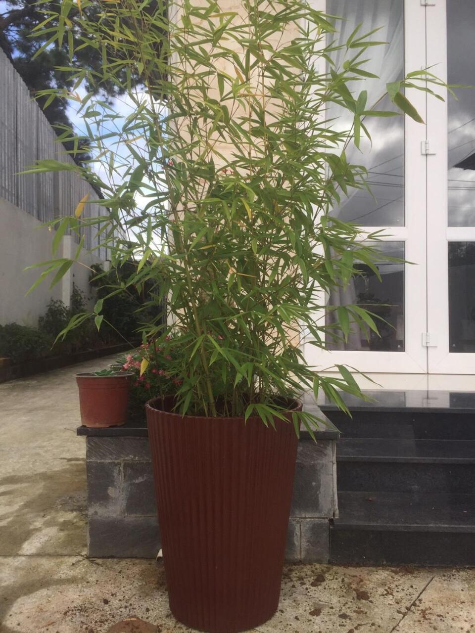 Photo 37