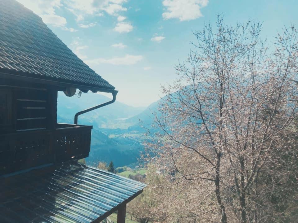 Bauernhof Oberfriessnig view 3
