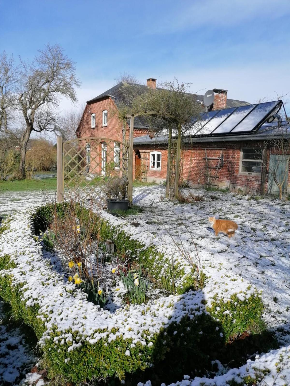 Photo 25