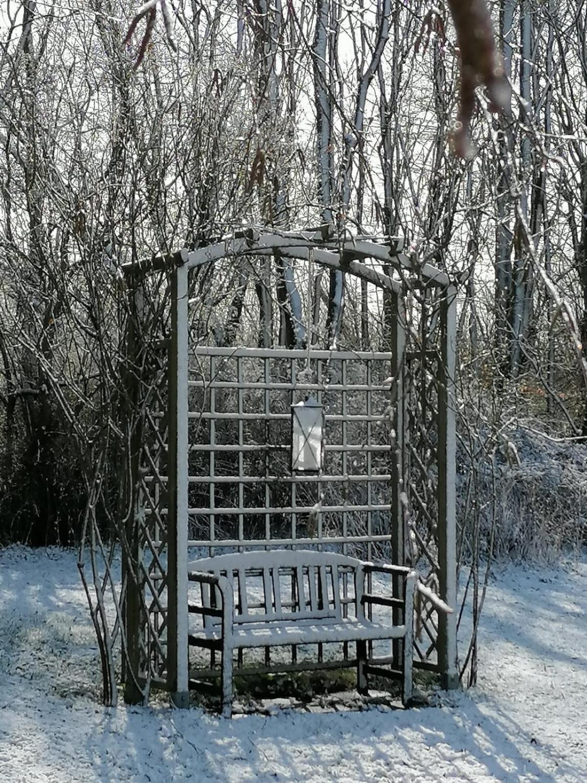 Photo 28