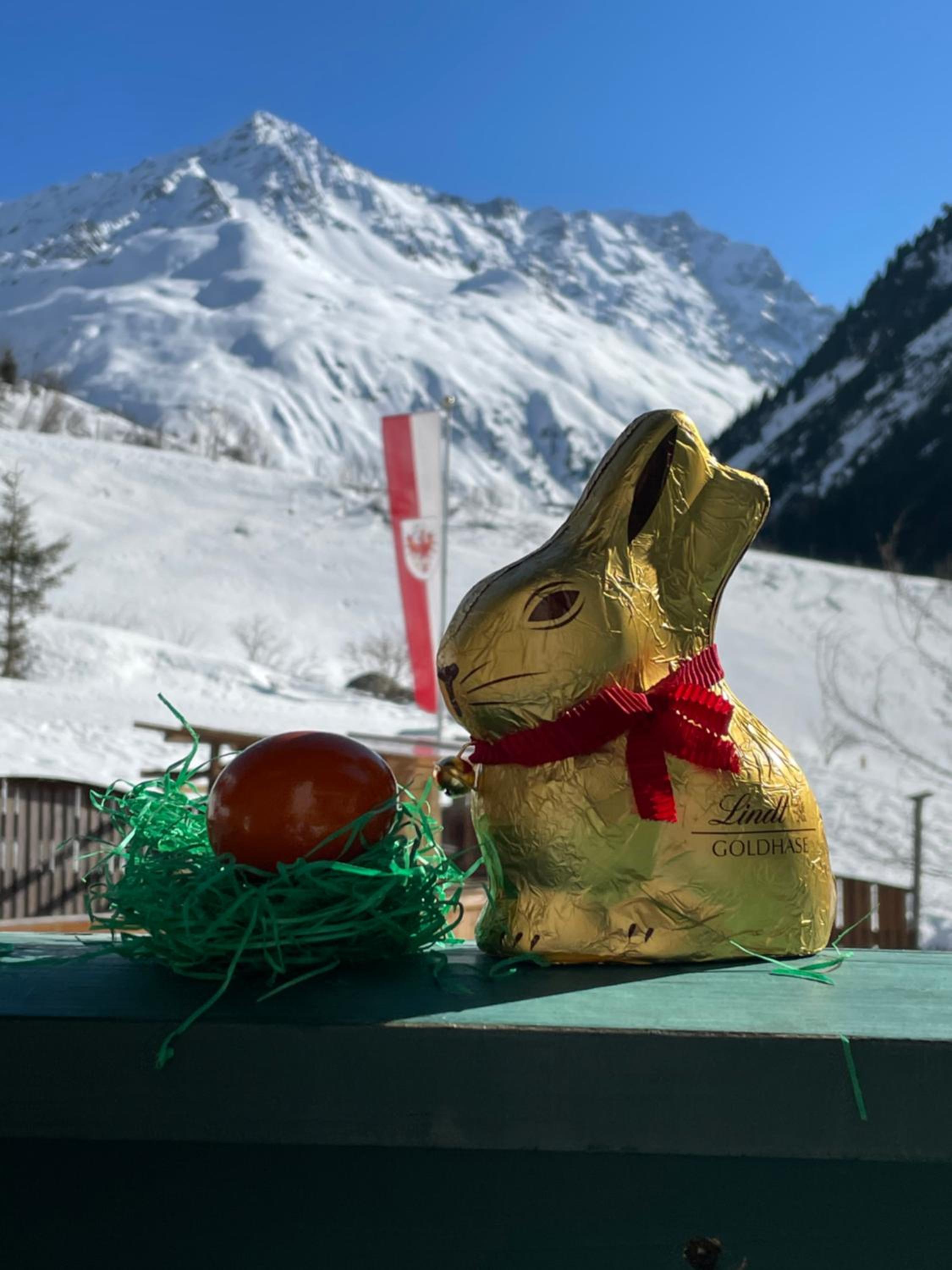 Pension Alpin