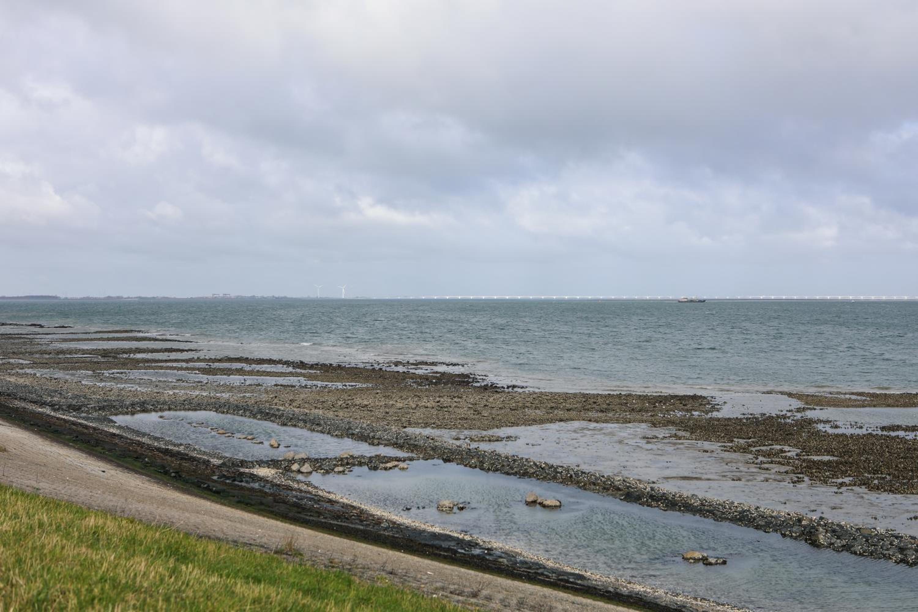 Photo 38