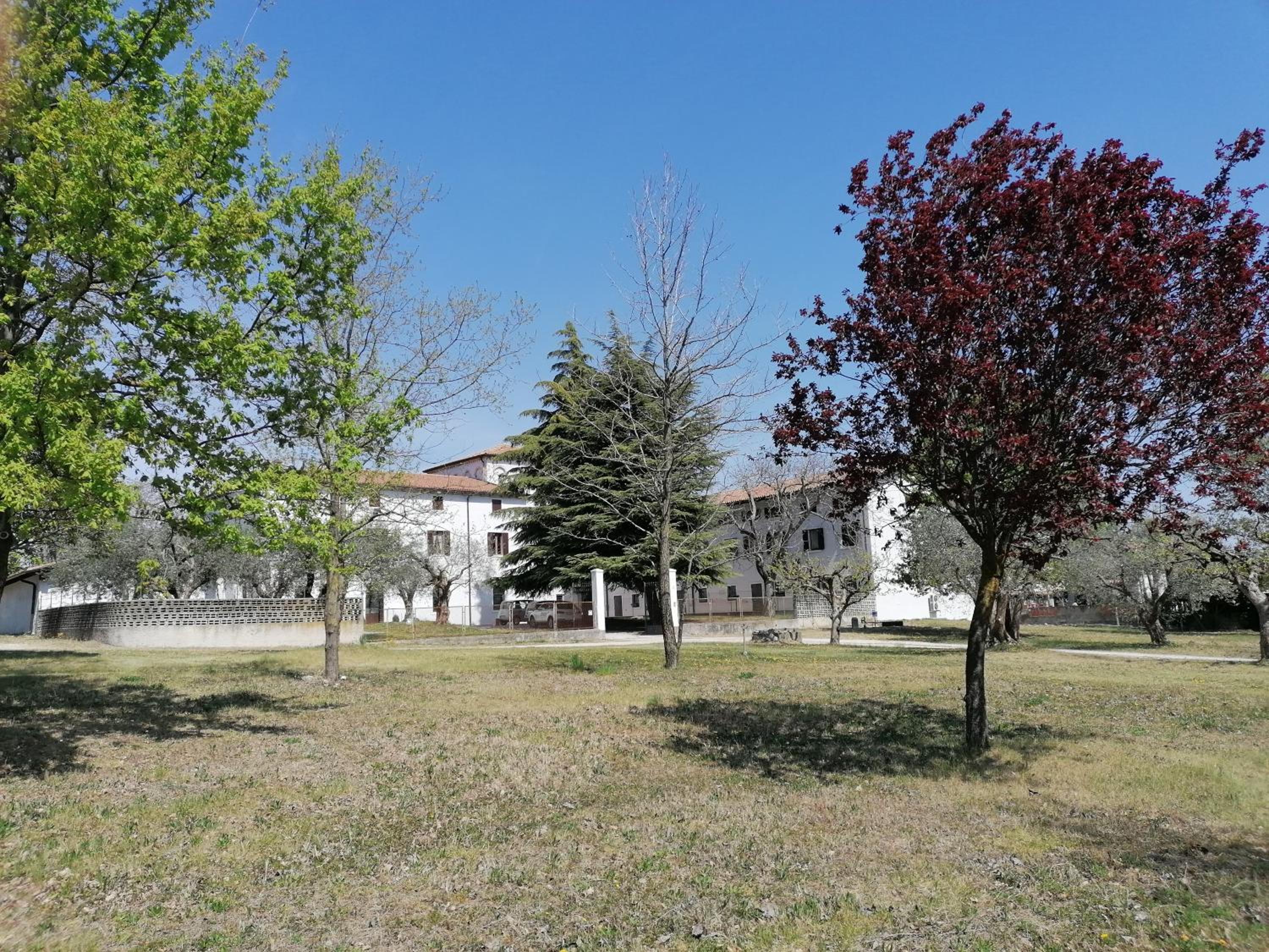 Photo 22
