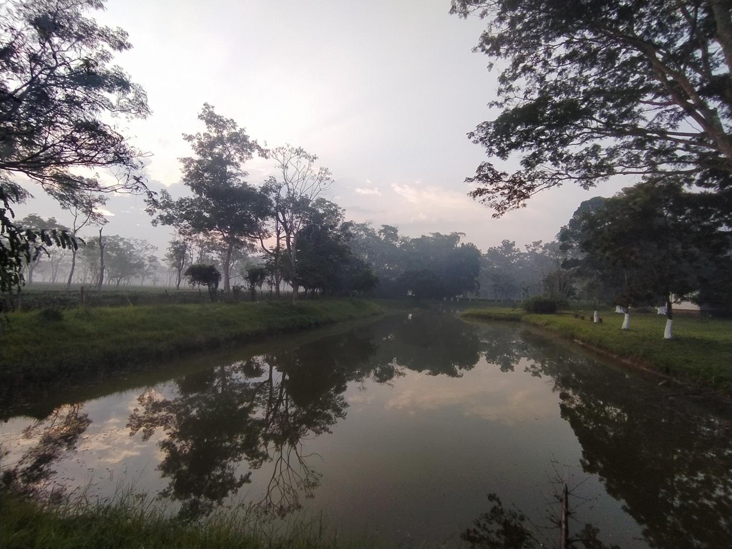 Puroni Bheti Tea and Farm Retreat view 2
