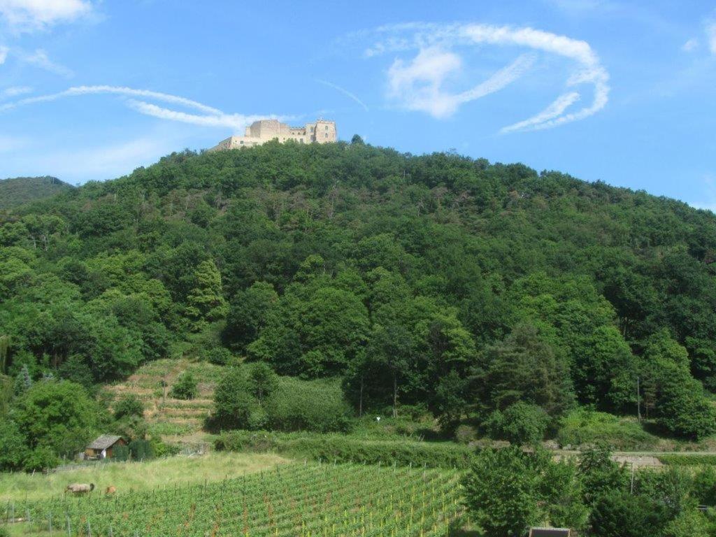 Weinhaus Paradies