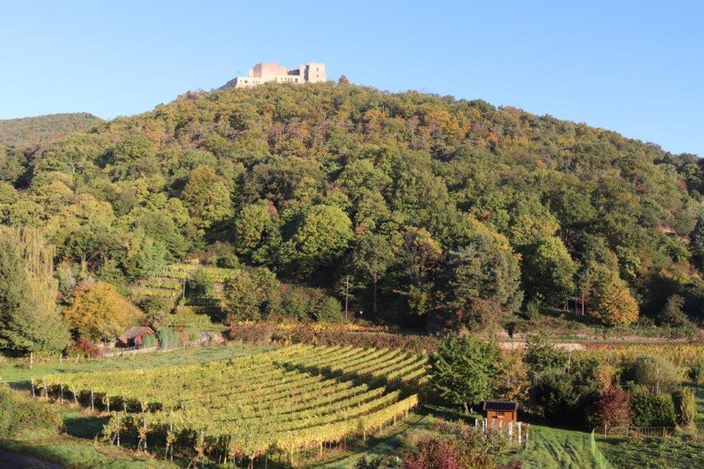 Weinhaus Paradies