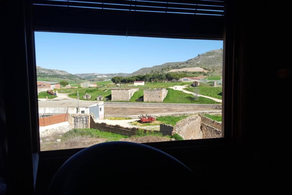 Casa Ambiente Rural: En plena Ribera del Duero view 5