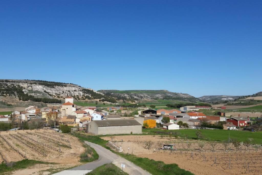 Casa Ambiente Rural: En plena Ribera del Duero view 3