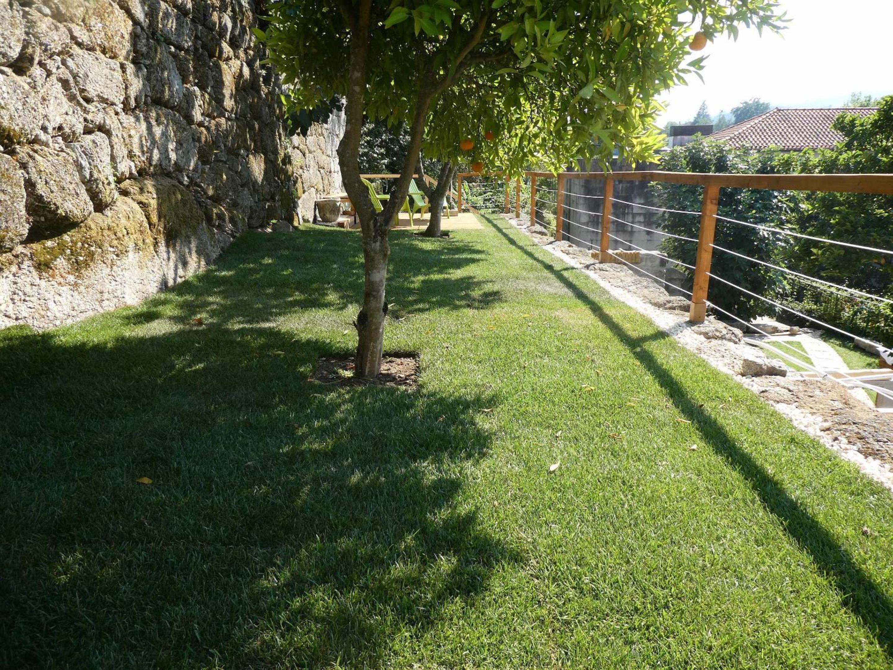 Photo 54