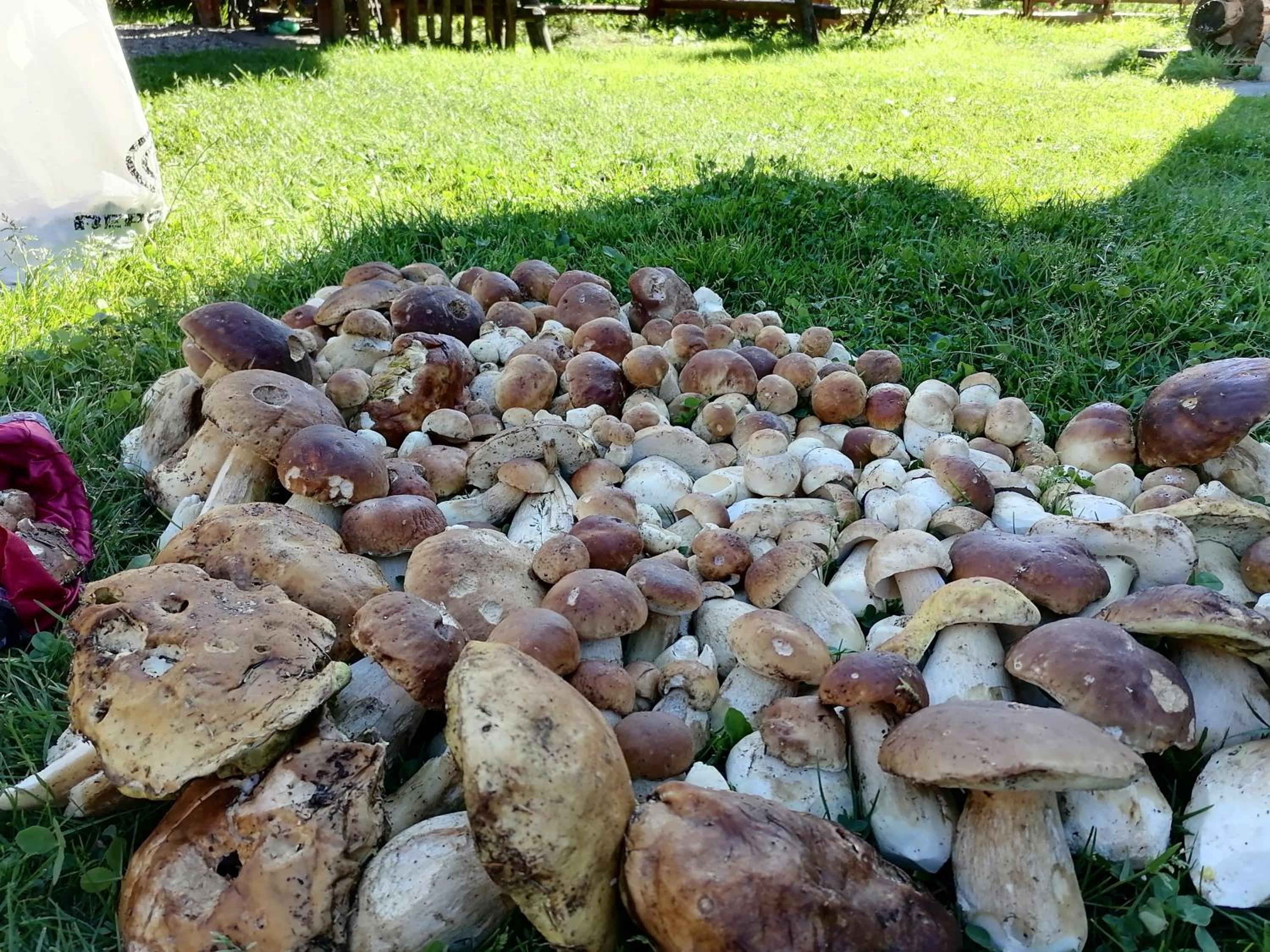 Photo 40