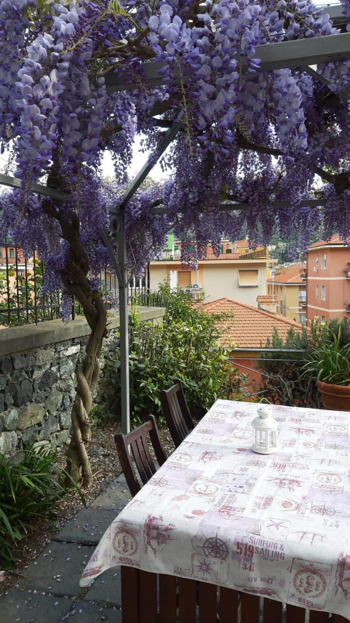 I LIMONI già Torretta view 4
