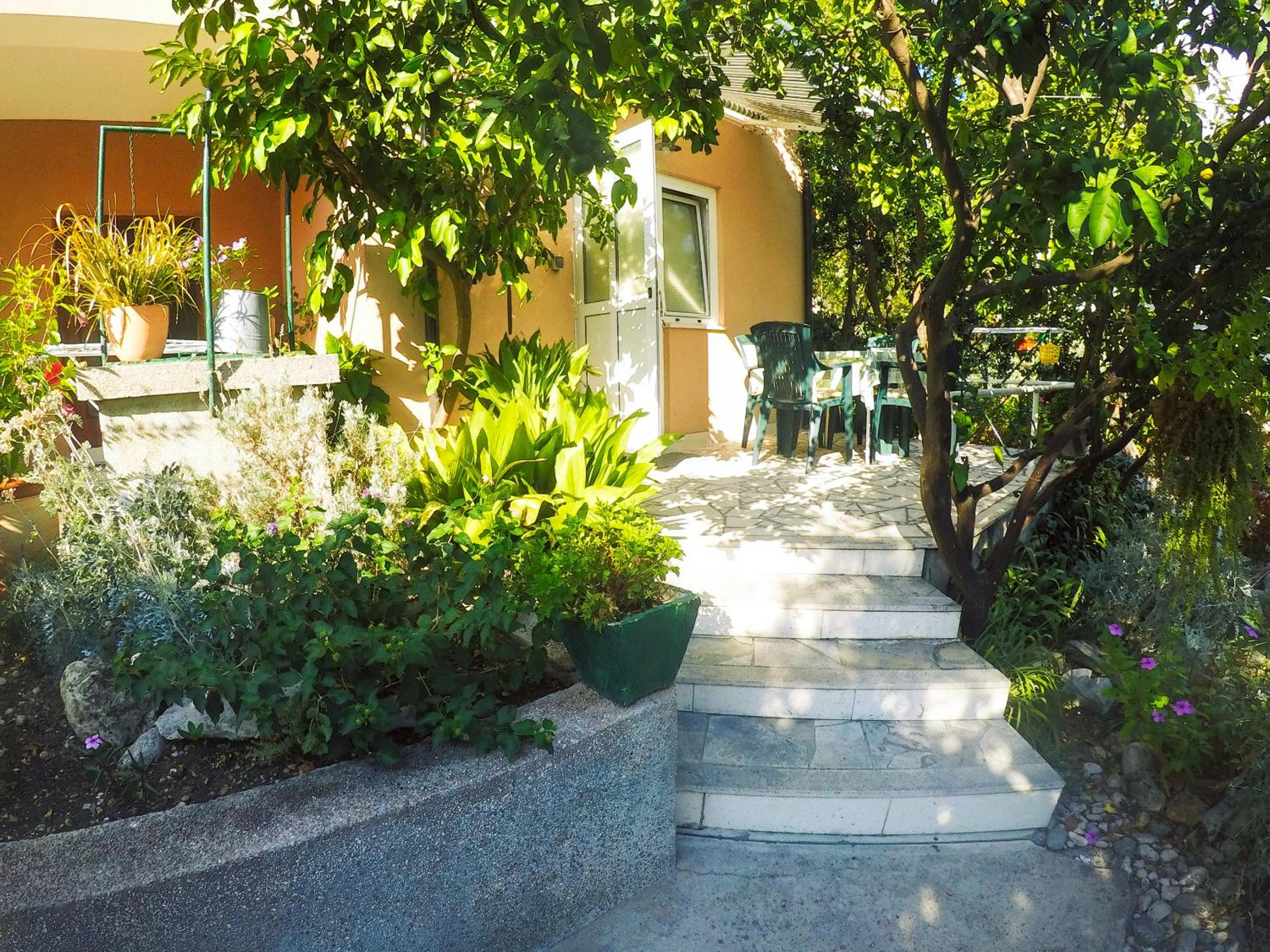 Photo 23