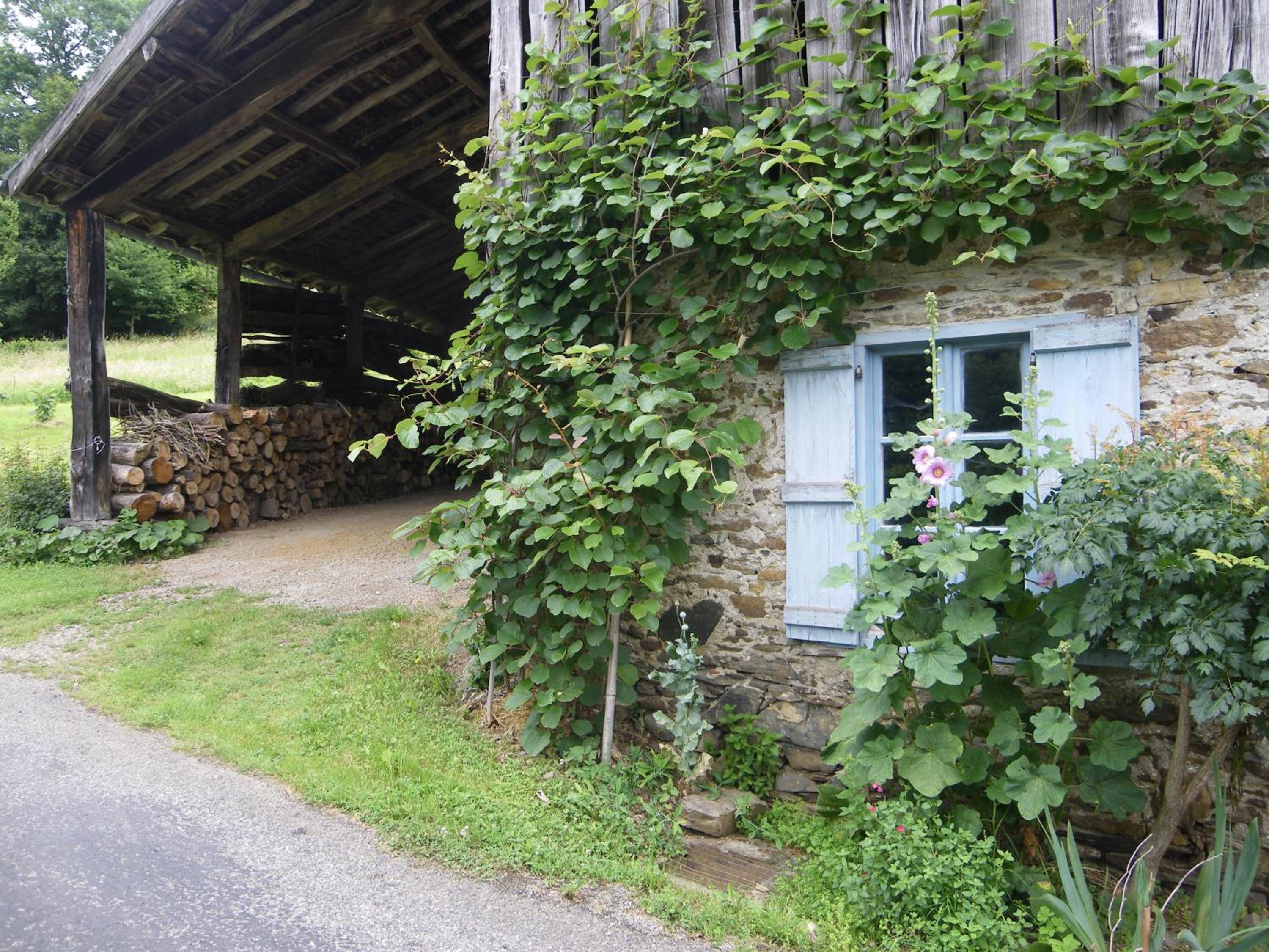 Photo 10