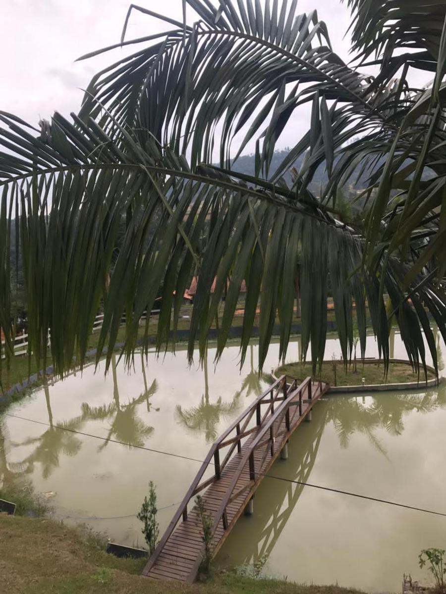 Lindo sítio com belíssima paisagem para descansar