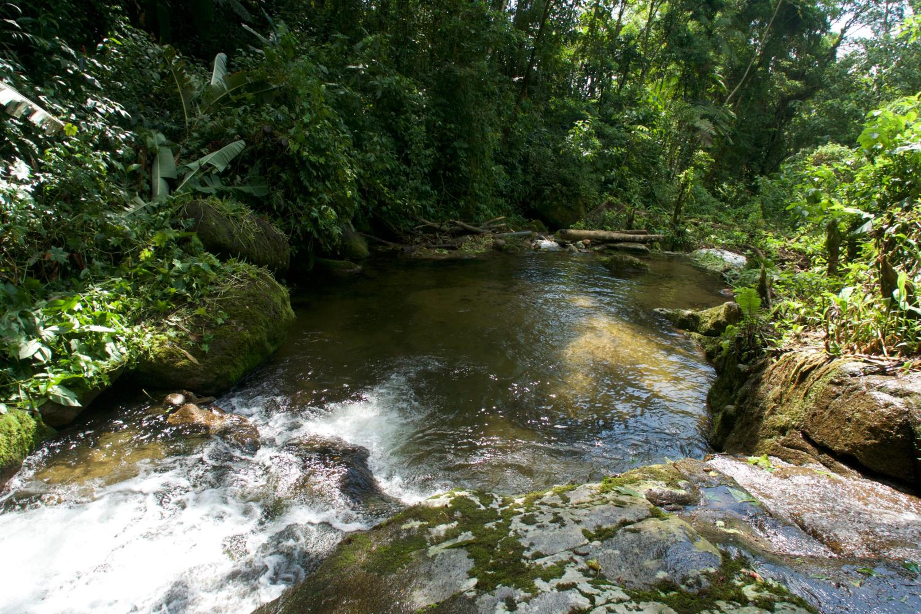 Recanto bela Vista caminho do ouro