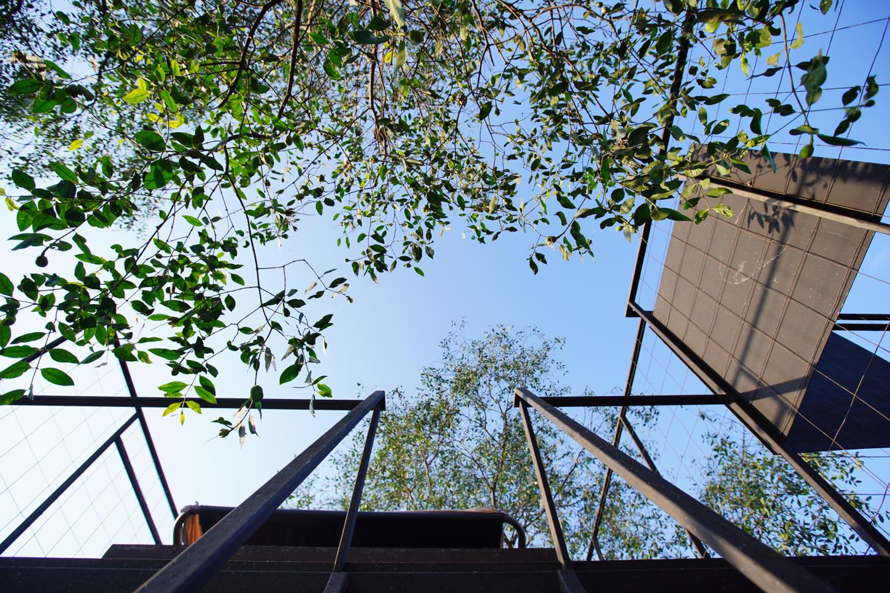 Bangkok Tree House Bang Kachao