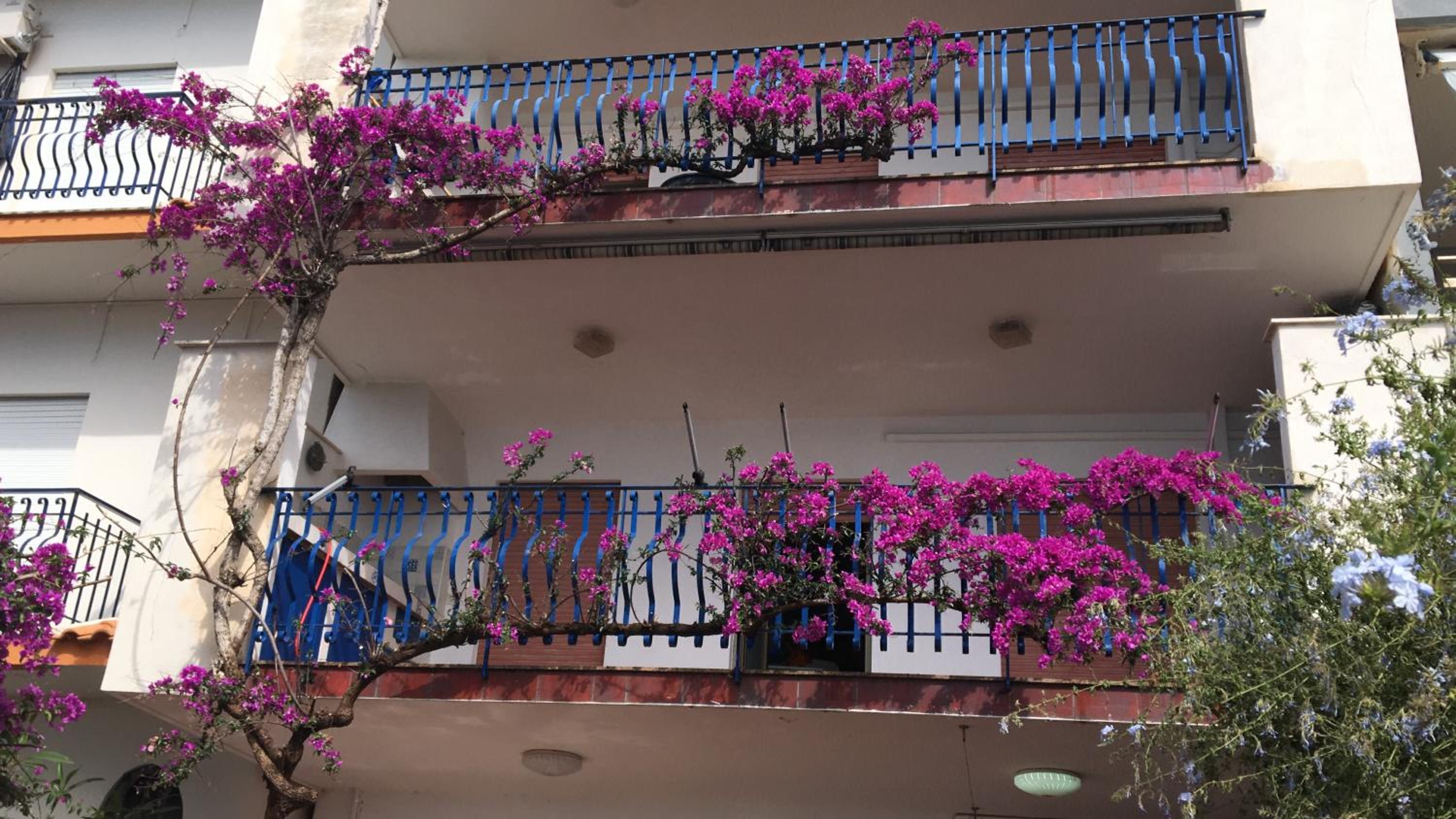 Taormina Sea house view 3