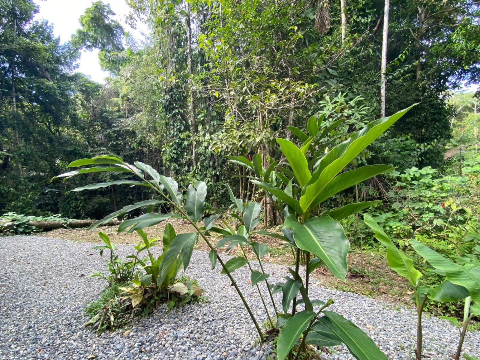 Casa pájaro - Birdwatching house