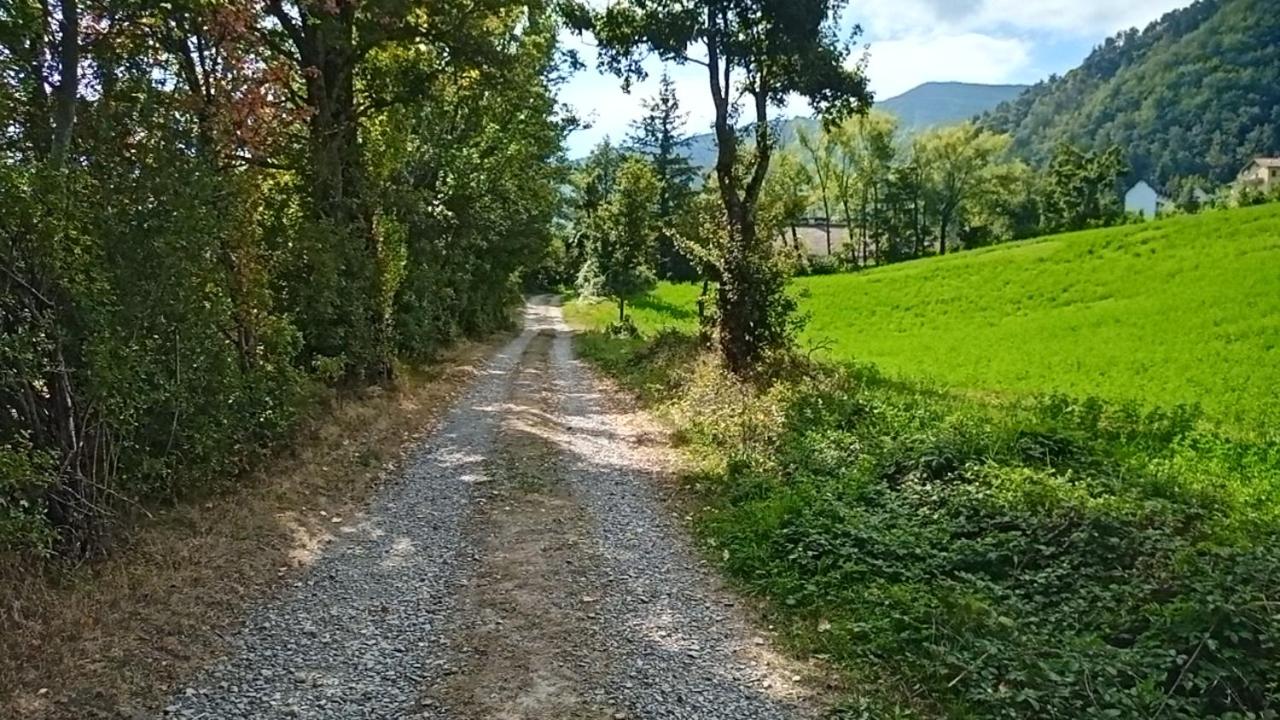 Photo 33