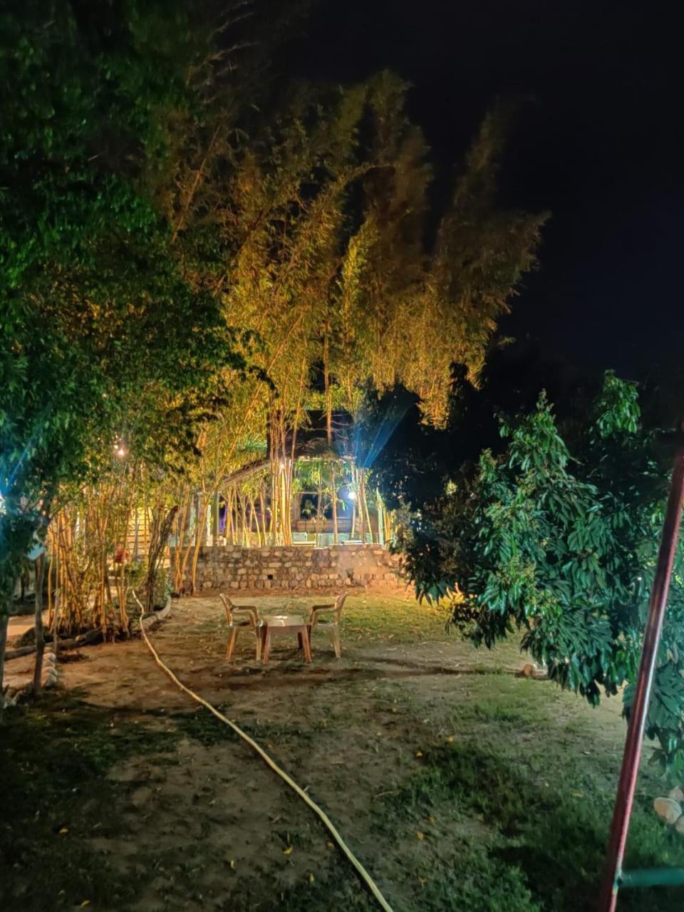 Photo 20