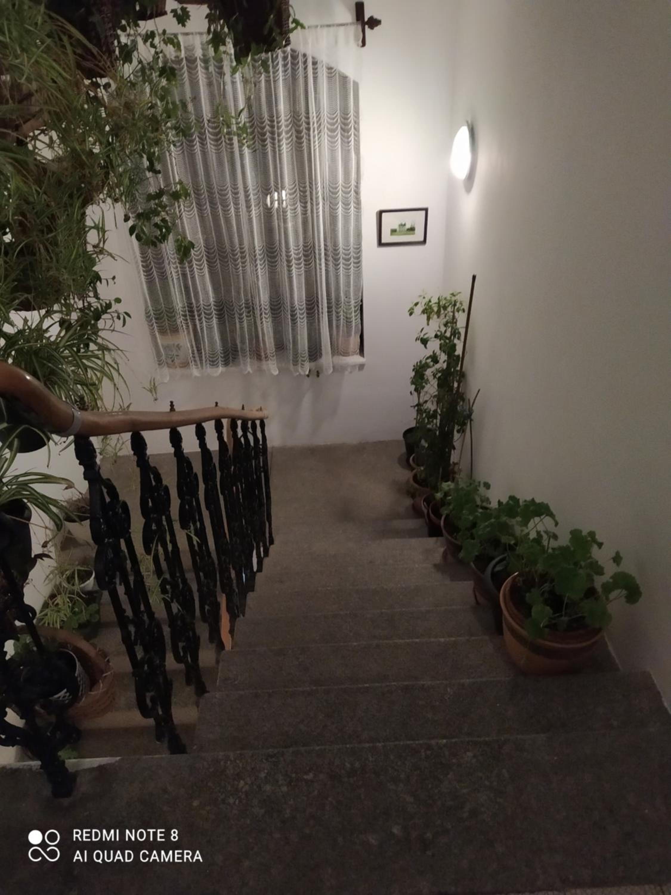 Villa Liduška s kavárnou