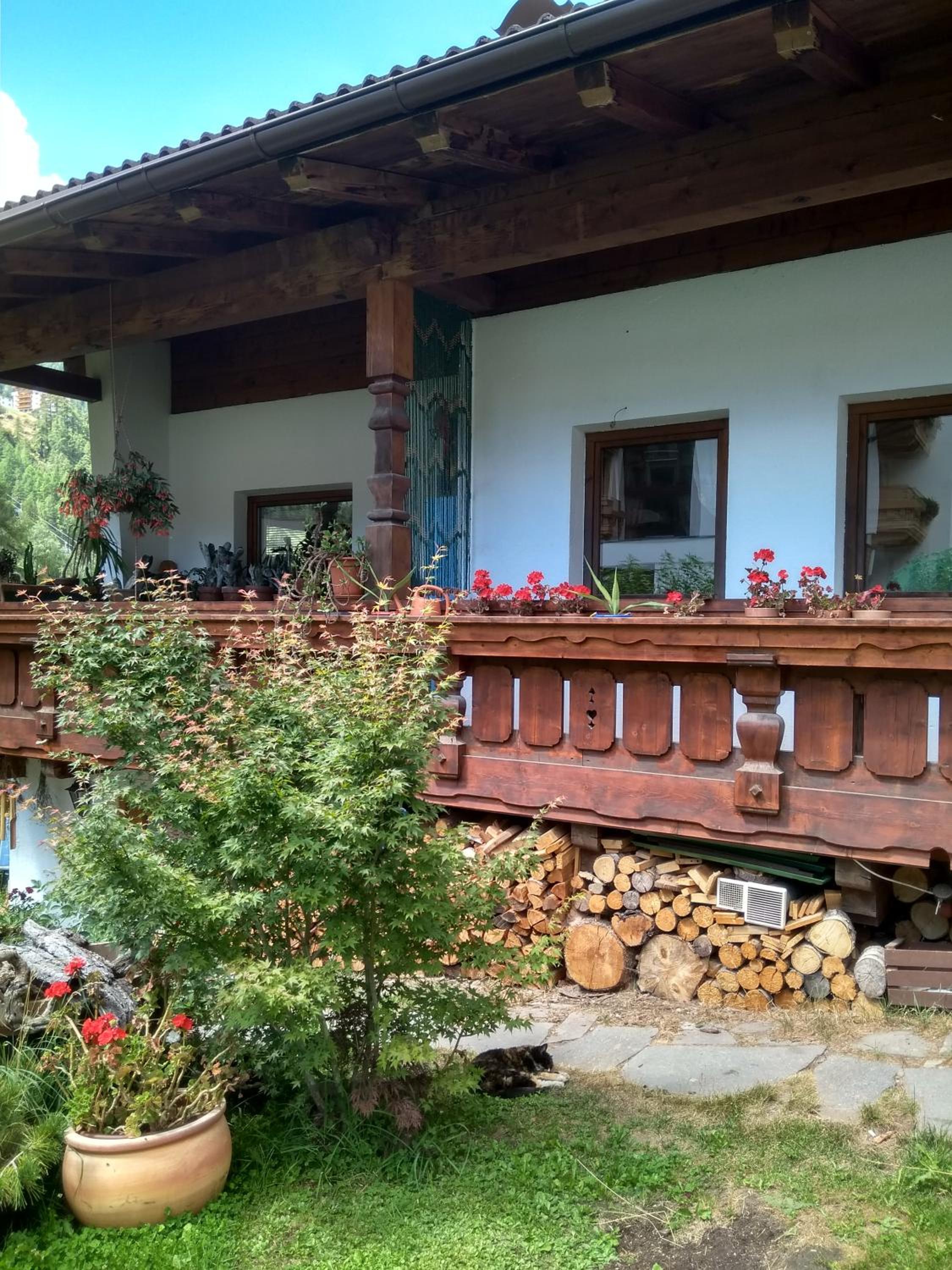 Photo 43