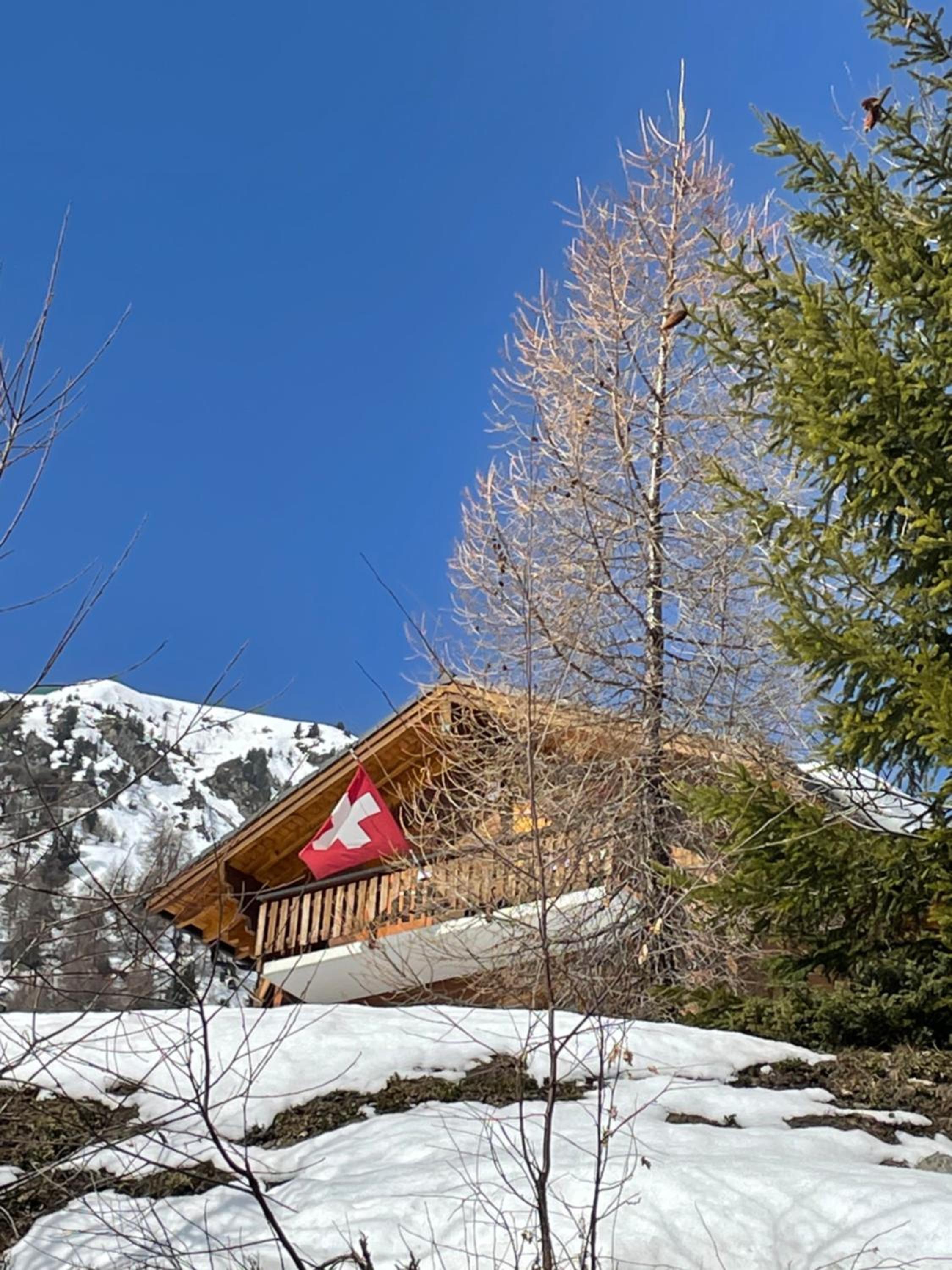 Chalet Michele Alpage
