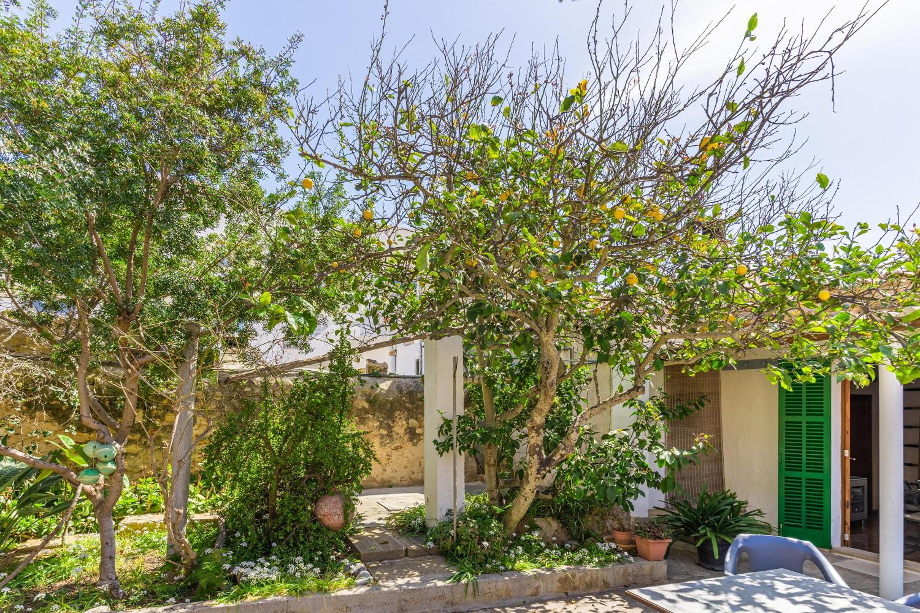 Miramar Sa Rapita photo 3